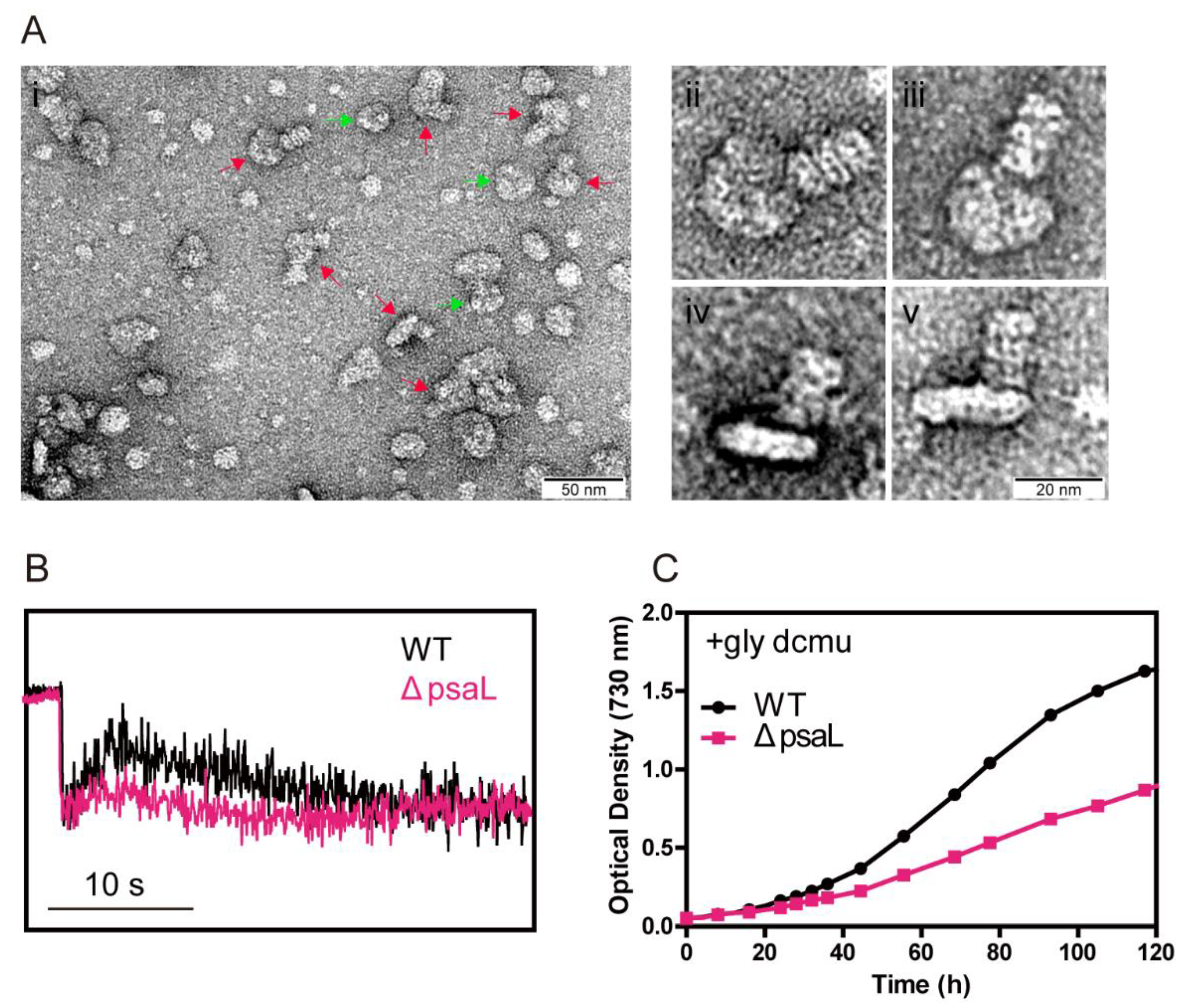 Microorganisms 10 01313 g006
