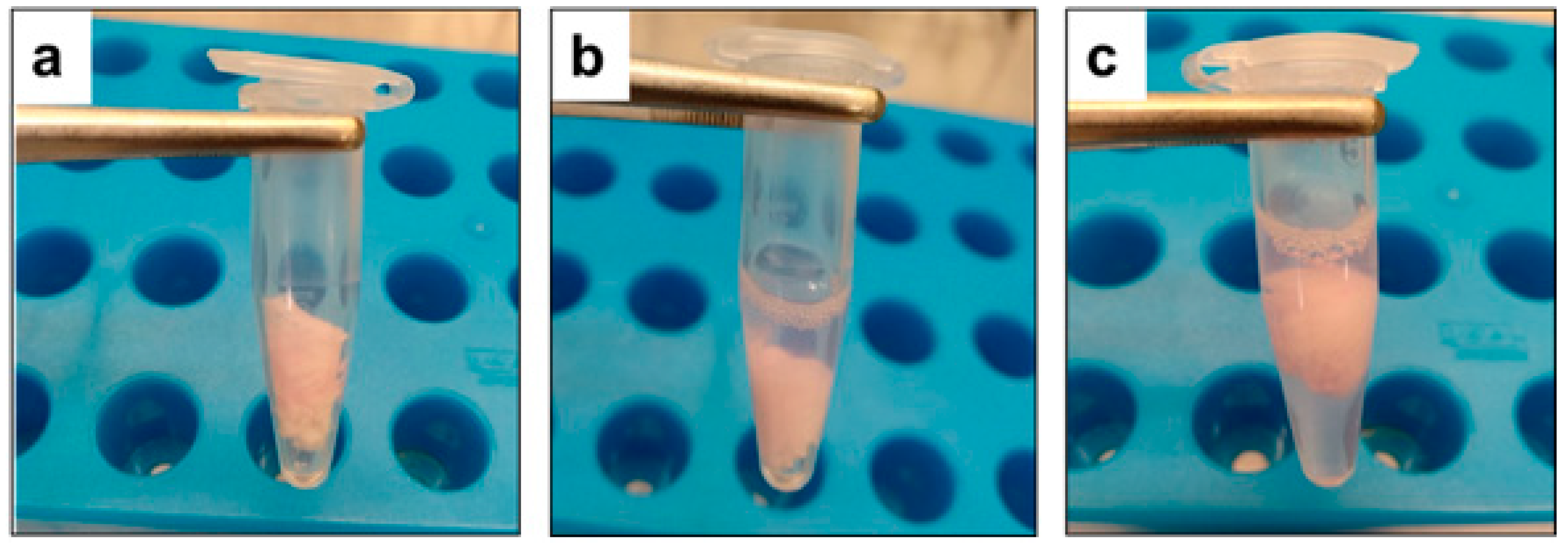 Microorganisms 10 01320 g002 Microorganisms 10 01320 g002