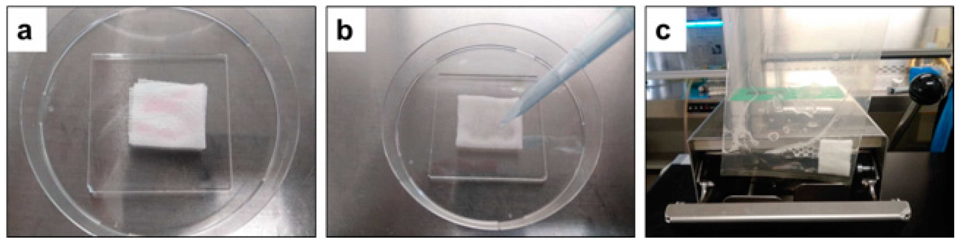 Microorganisms 10 01320 g003 Microorganisms 10 01320 g003