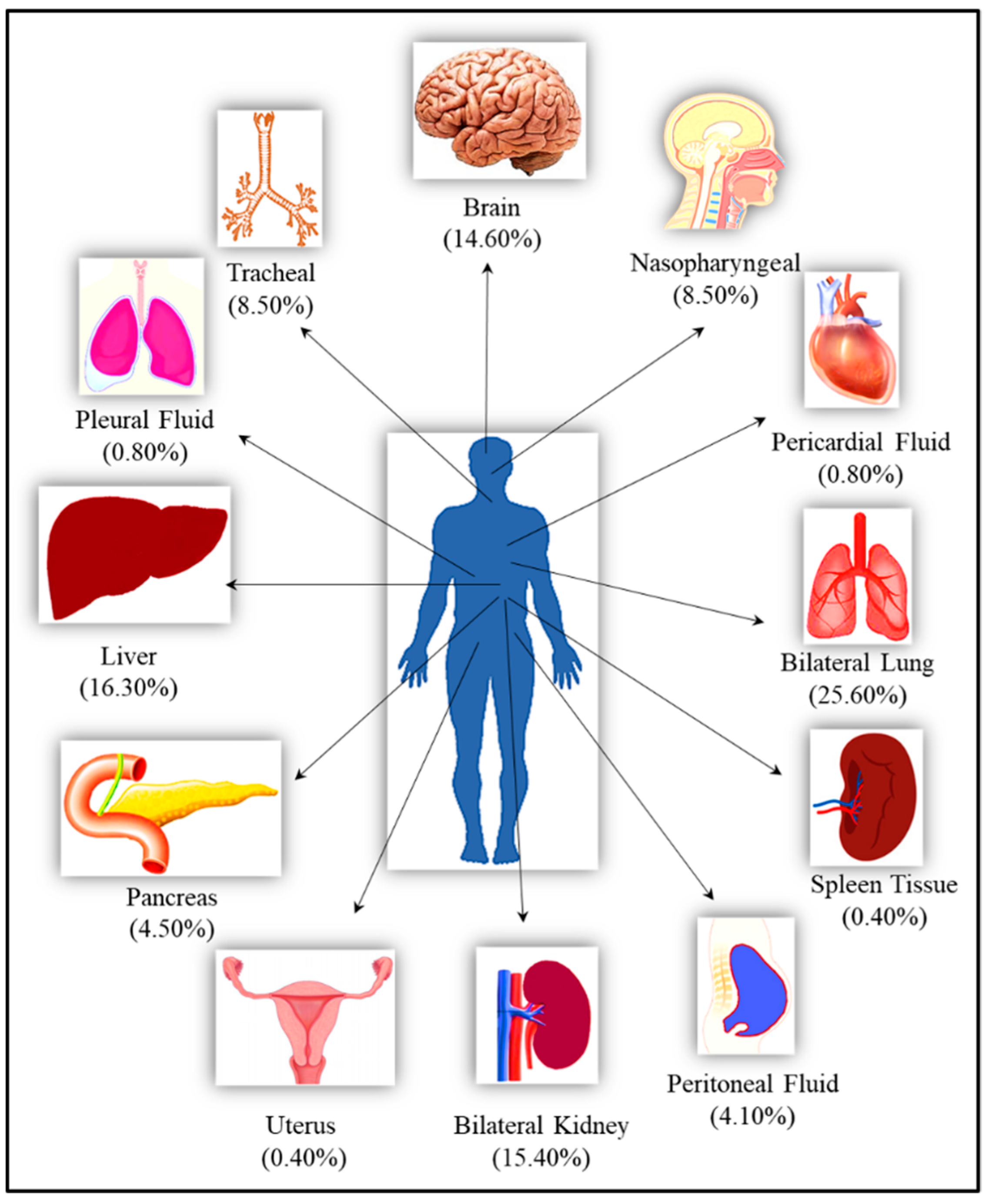 Microorganisms 10 01333 g001