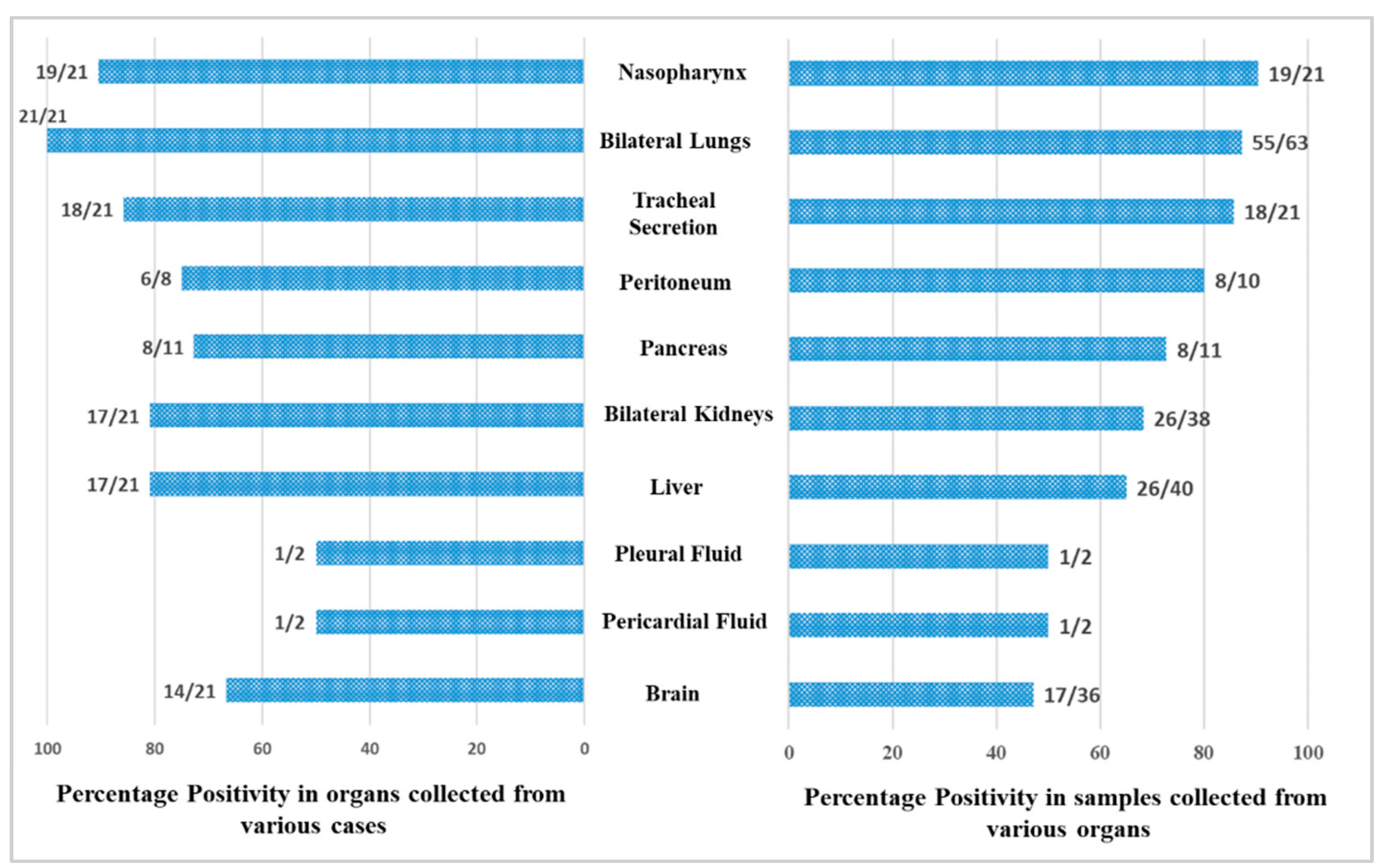 Microorganisms 10 01333 g002