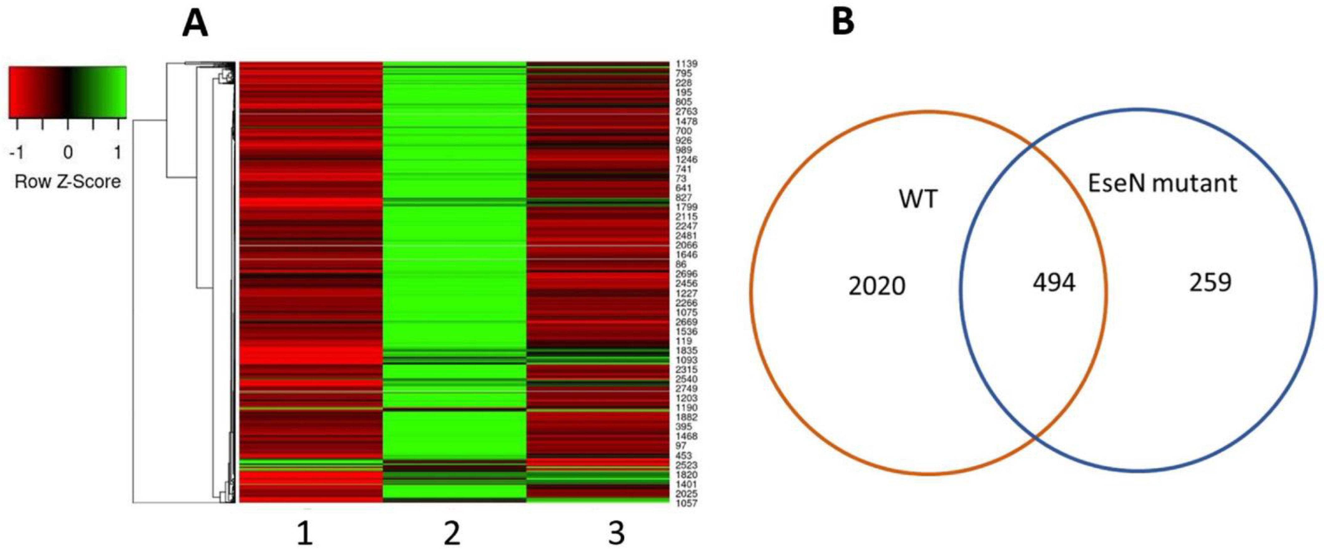 Microorganisms 10 01334 g001