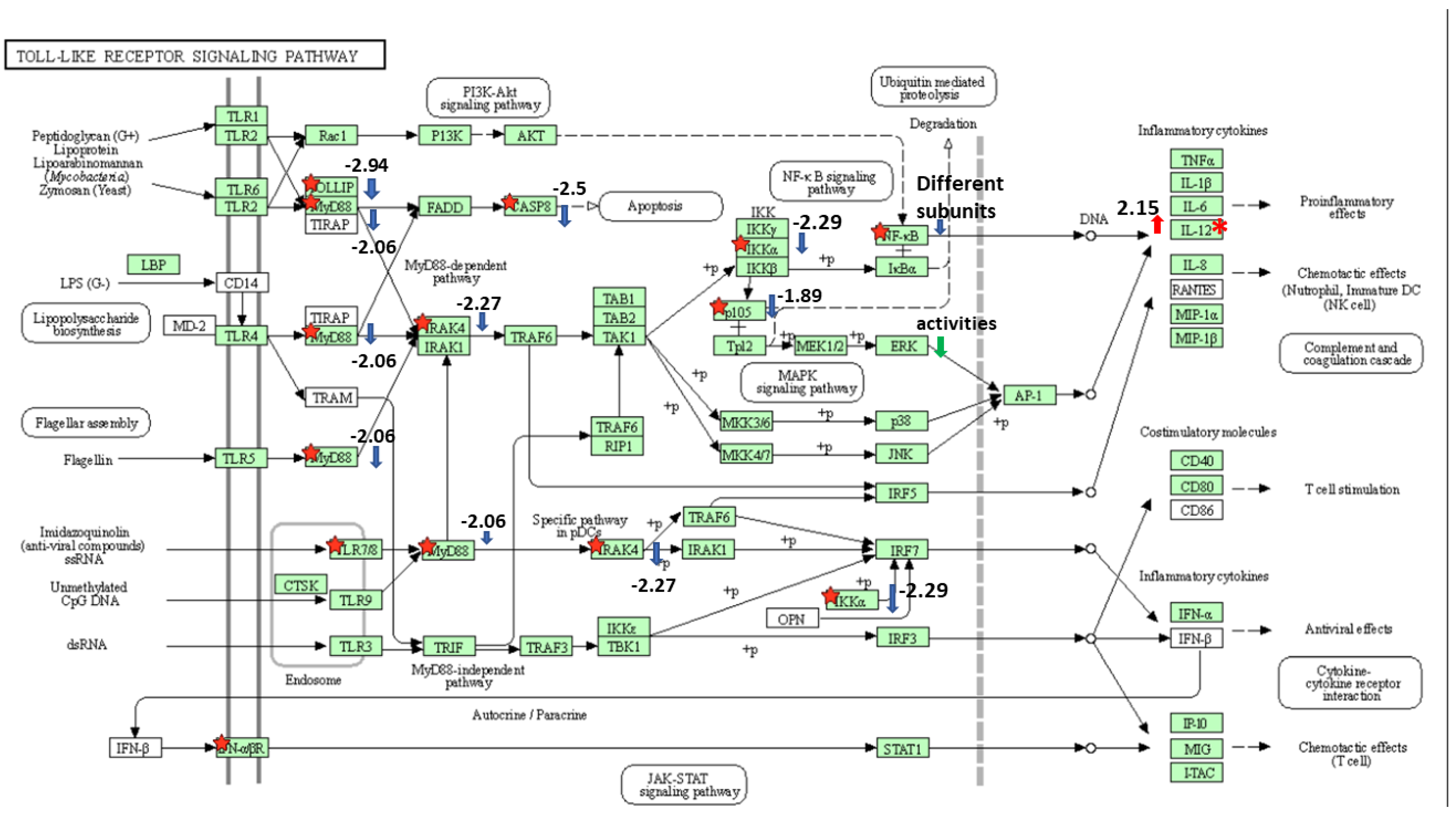 Microorganisms 10 01334 g003