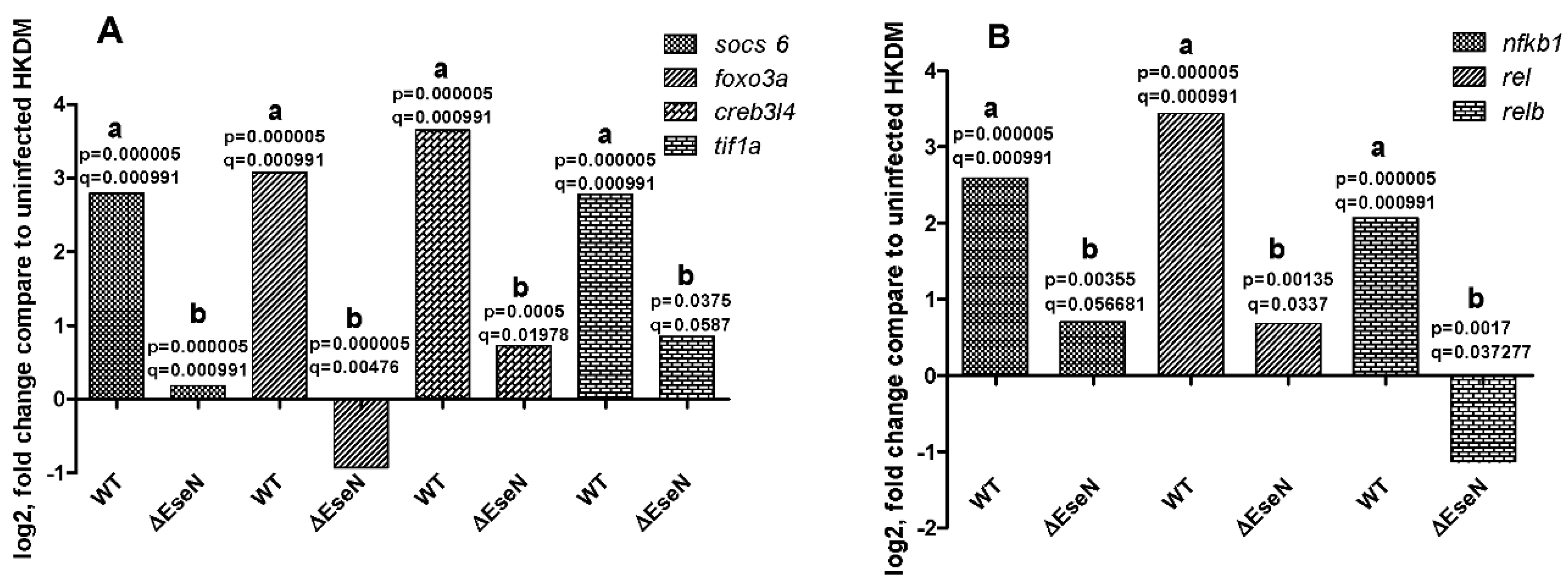 Microorganisms 10 01334 g004