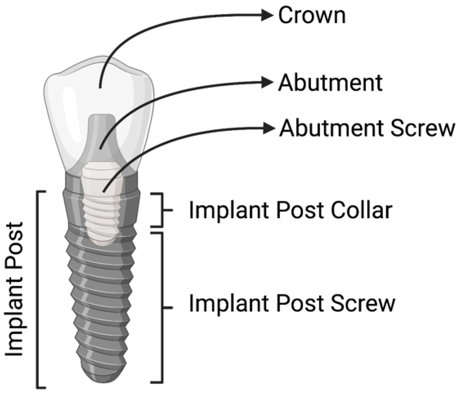 Microorganisms 10 01336 g001