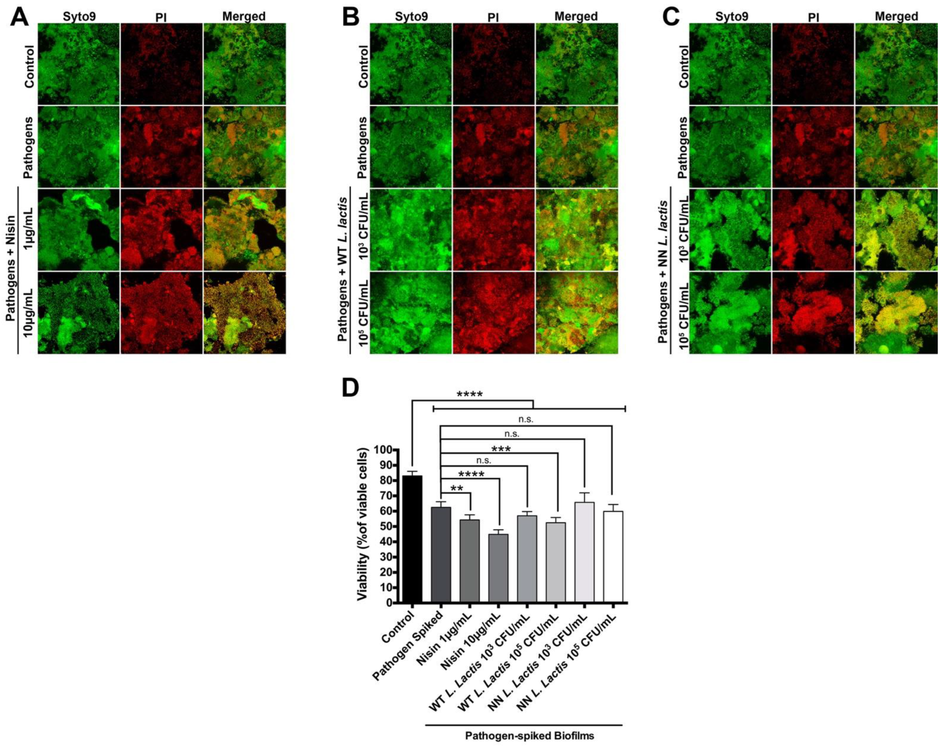 Microorganisms 10 01336 g003