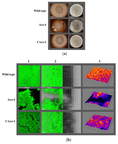 Microorganisms 10 01338 g001a Microorganisms 10 01338 g001a
