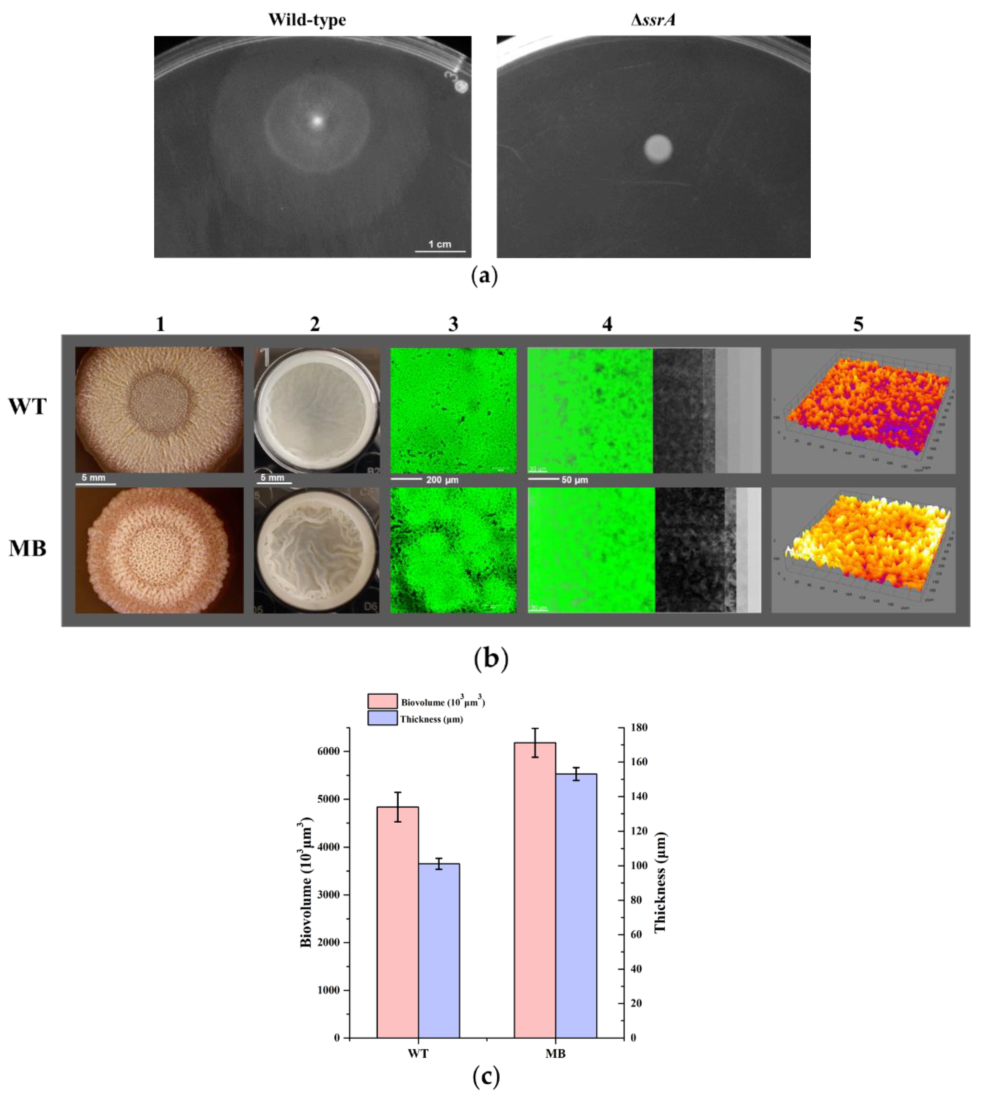 Microorganisms 10 01338 g002 Microorganisms 10 01338 g002