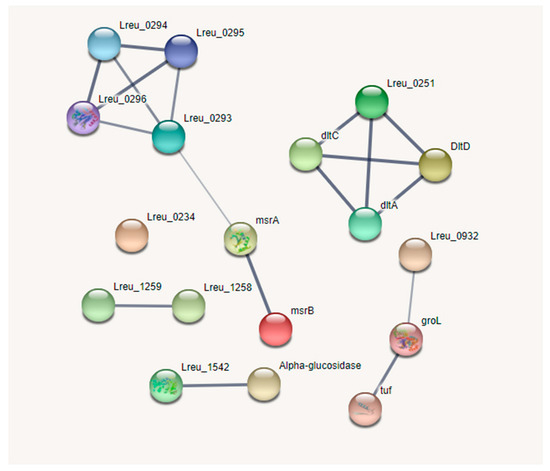 Microorganisms 10 01341 g012 550