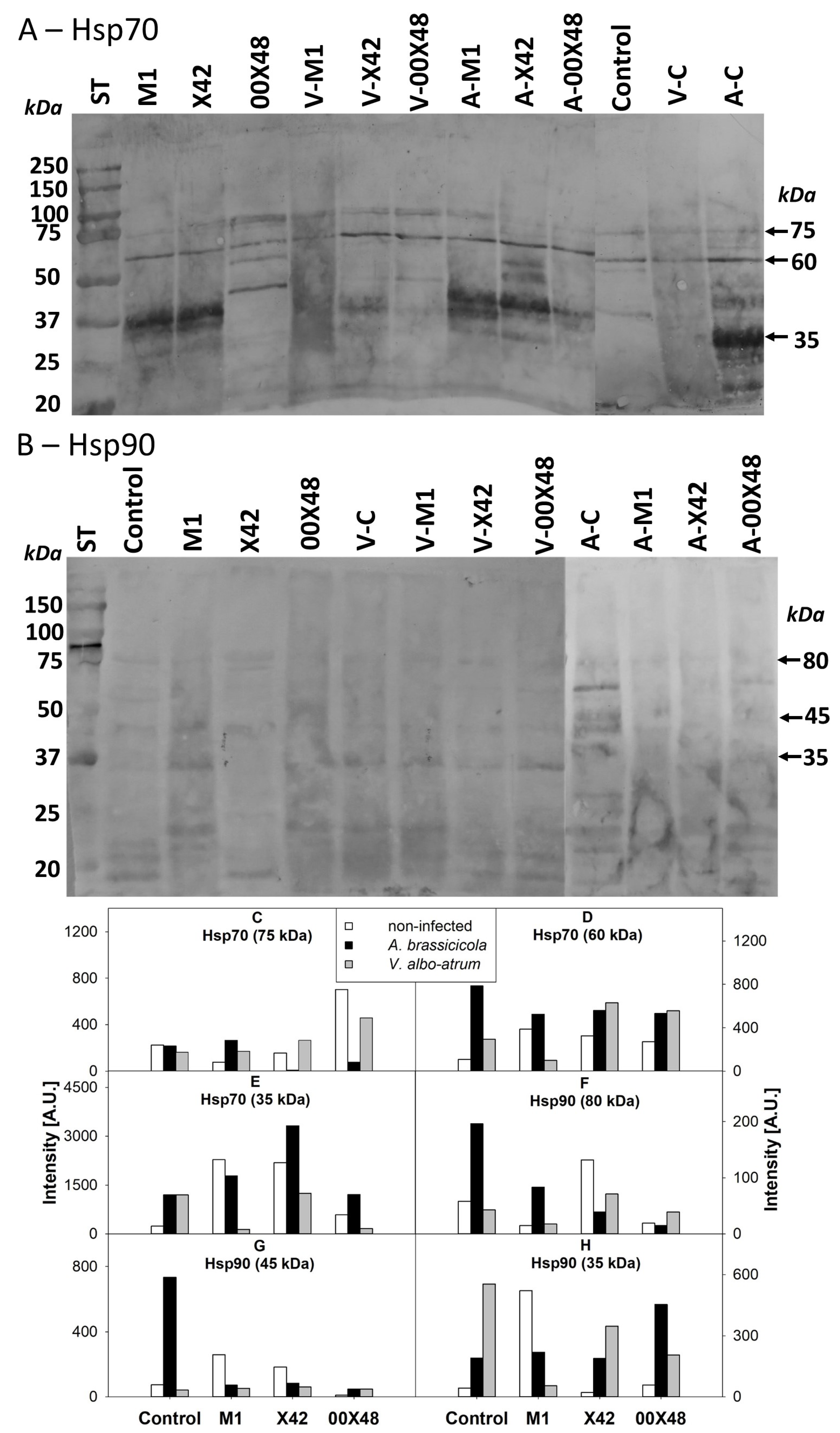 Microorganisms 10 01348 g008 Microorganisms 10 01348 g008