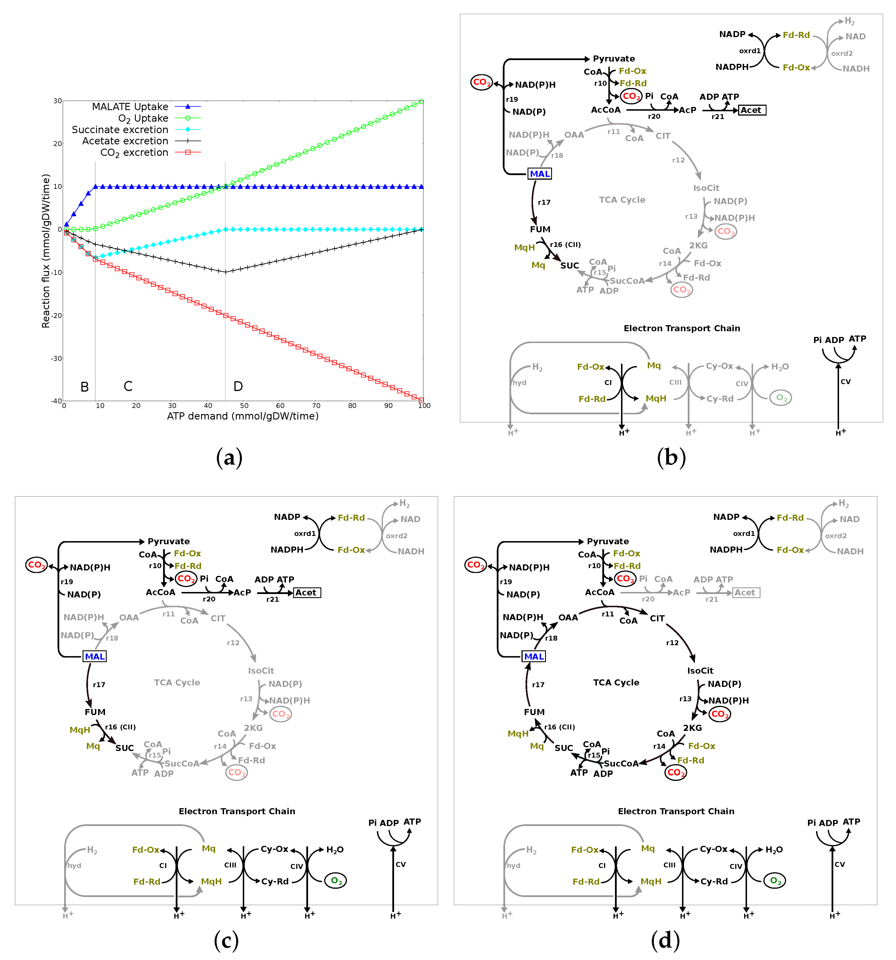 Microorganisms 10 01355 g005