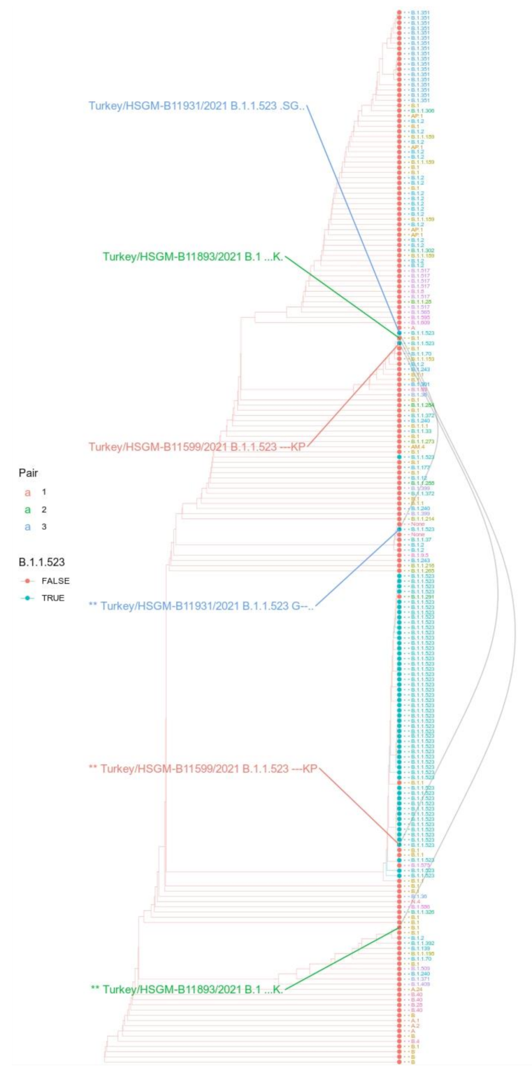 Microorganisms 10 01356 g005