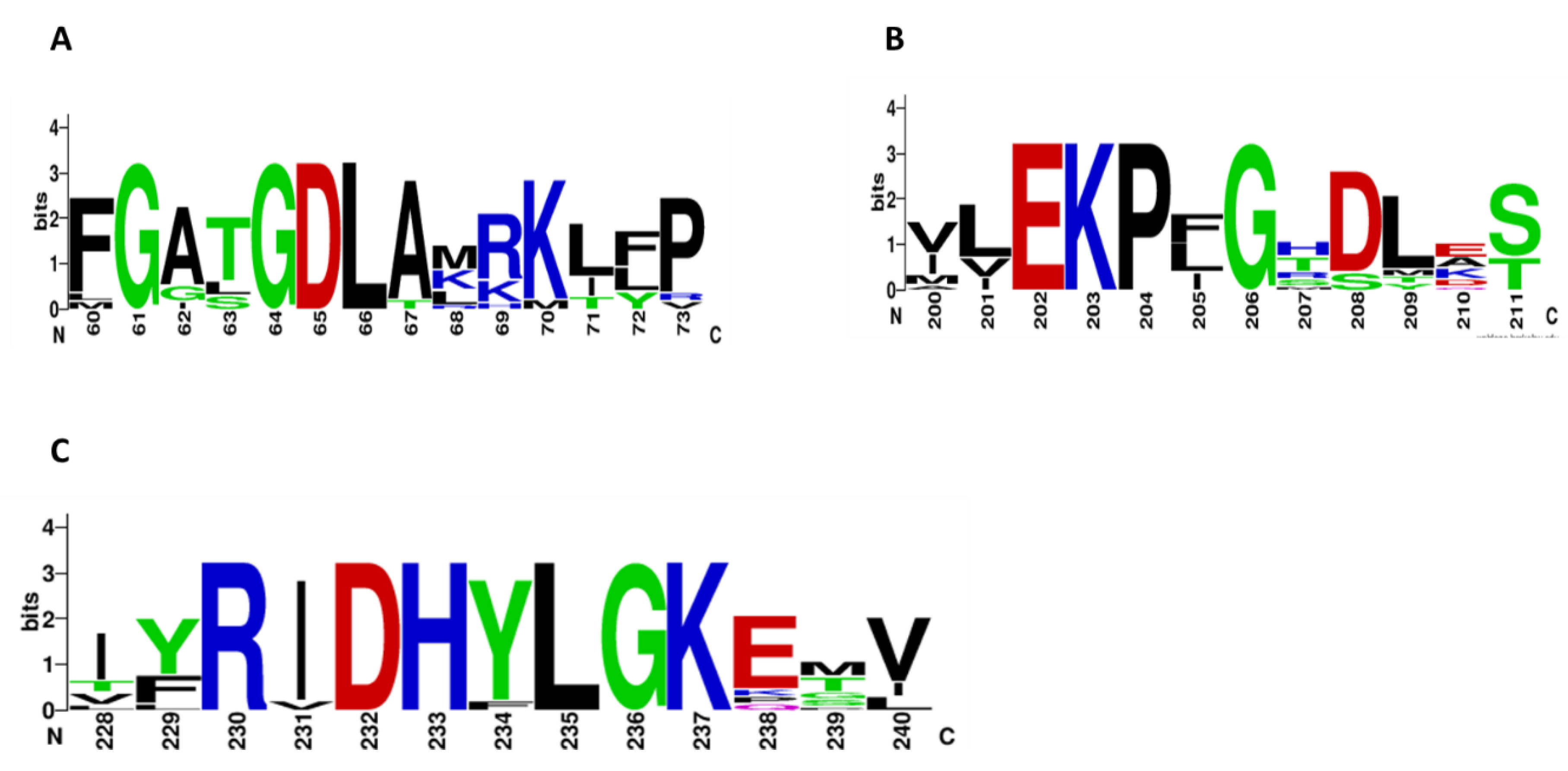 Microorganisms 10 01359 g001