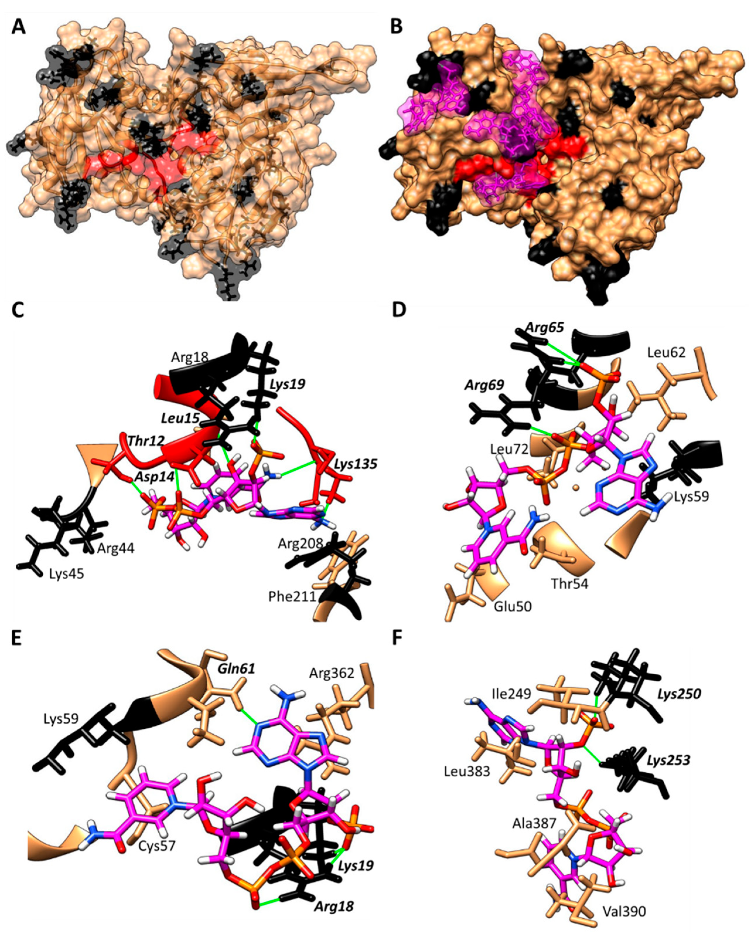 Microorganisms 10 01359 g007
