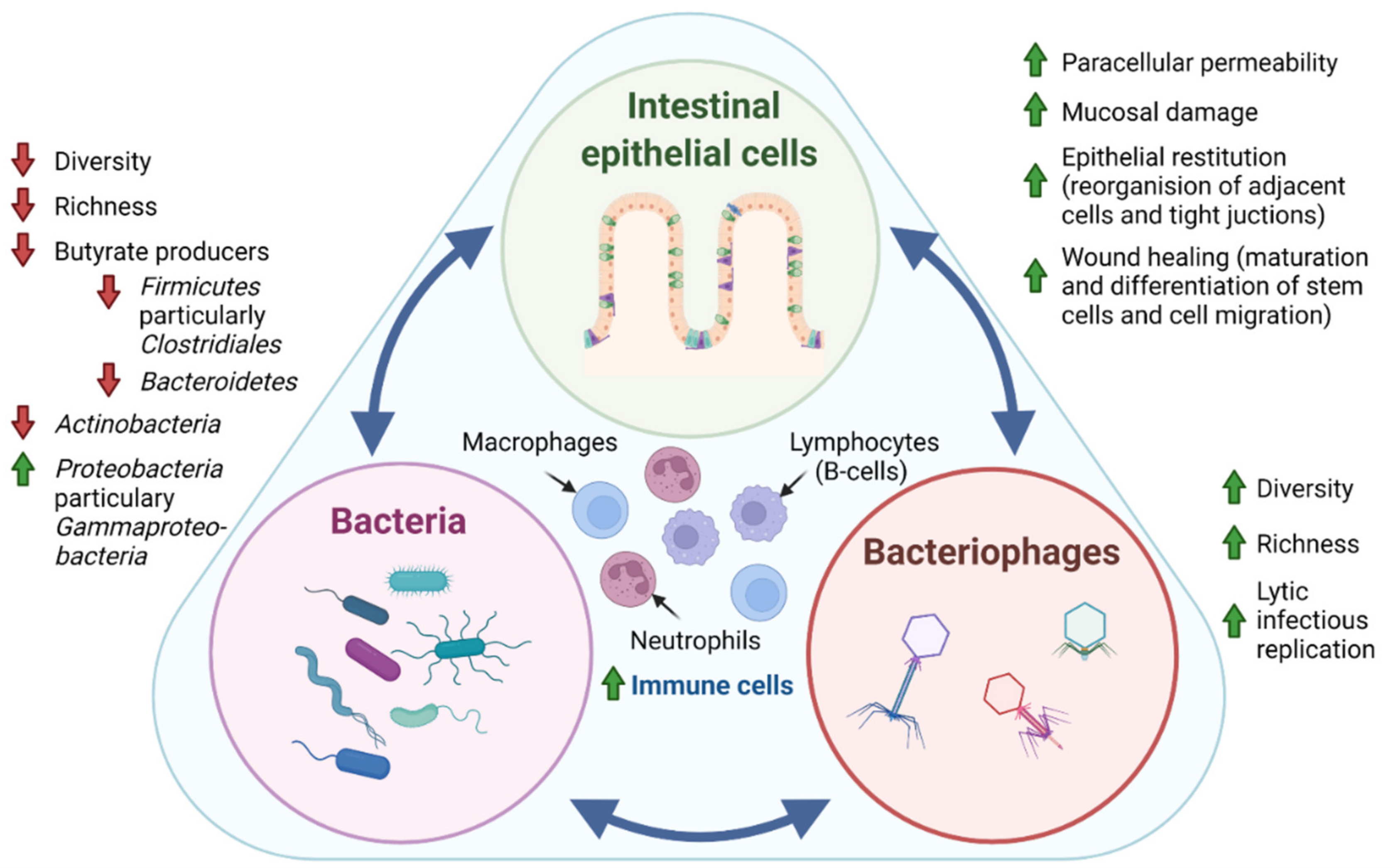 Microorganisms 10 01371 g001