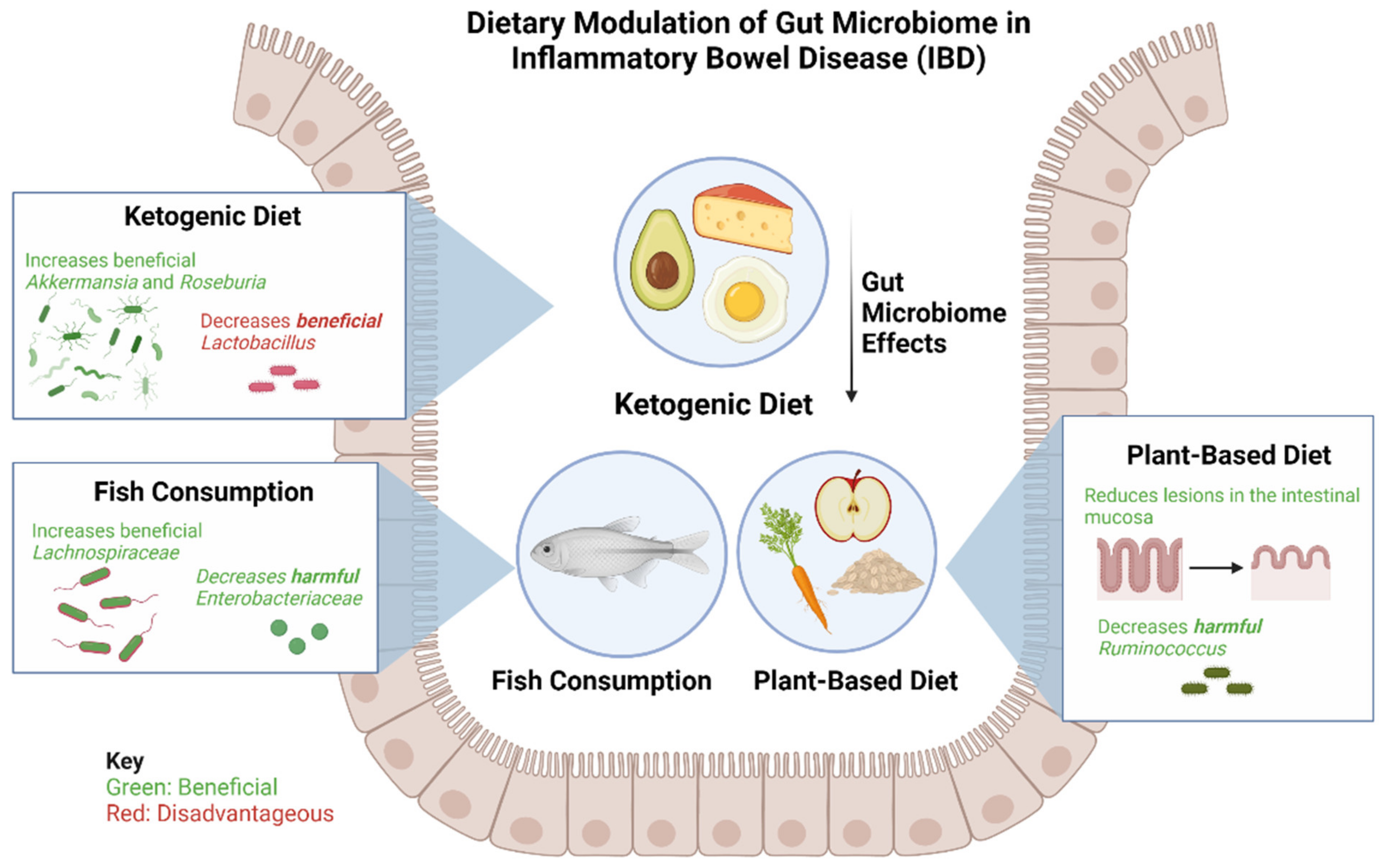 Microorganisms 10 01371 g002
