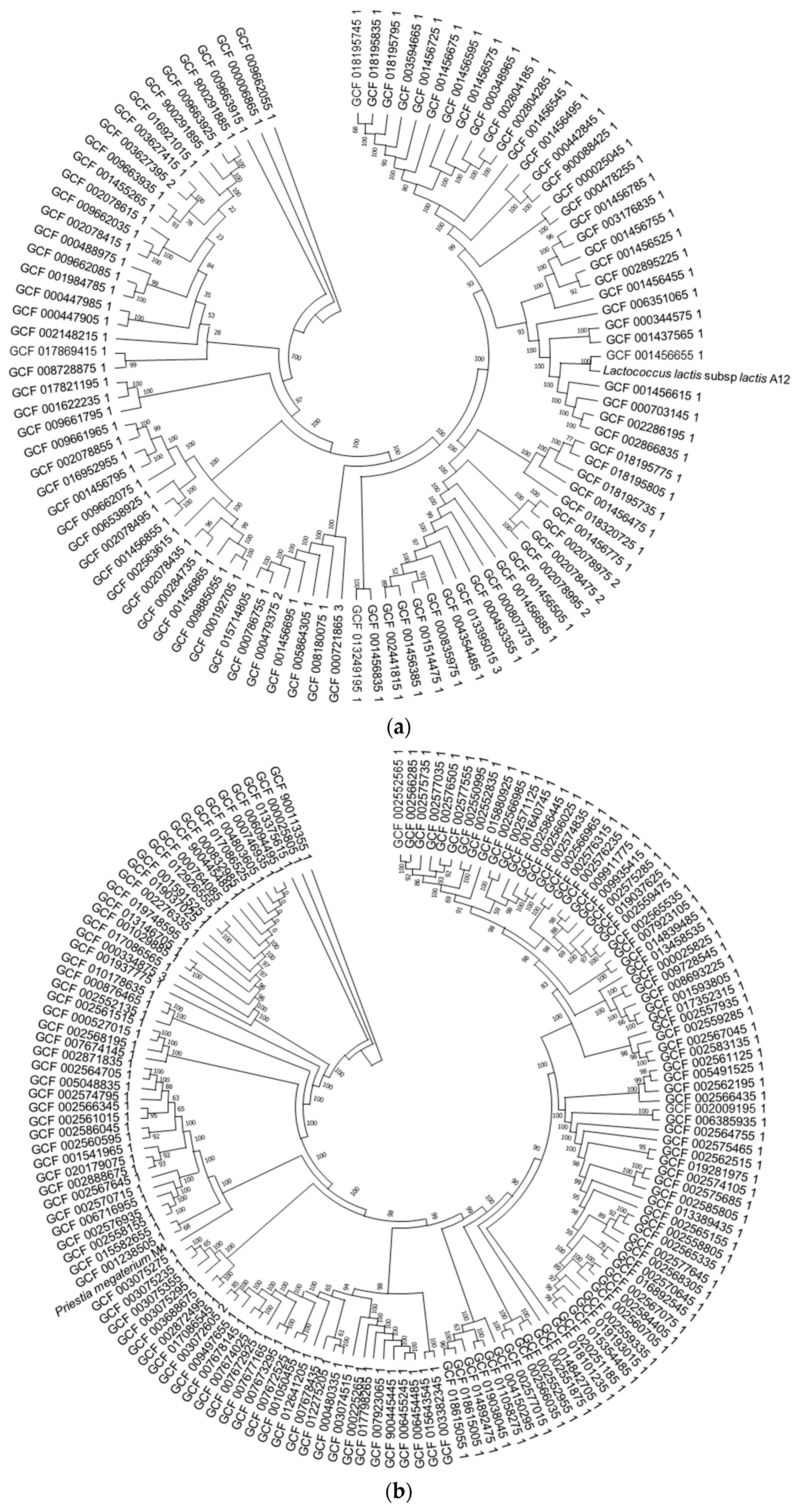 Microorganisms 10 01376 g001a