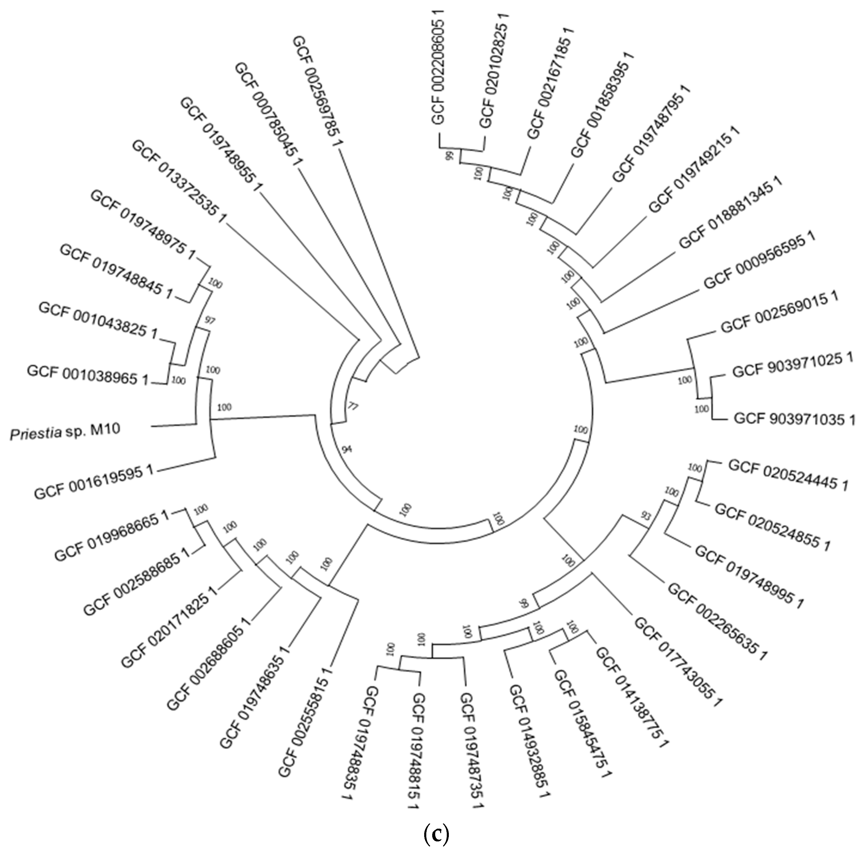Microorganisms 10 01376 g001b