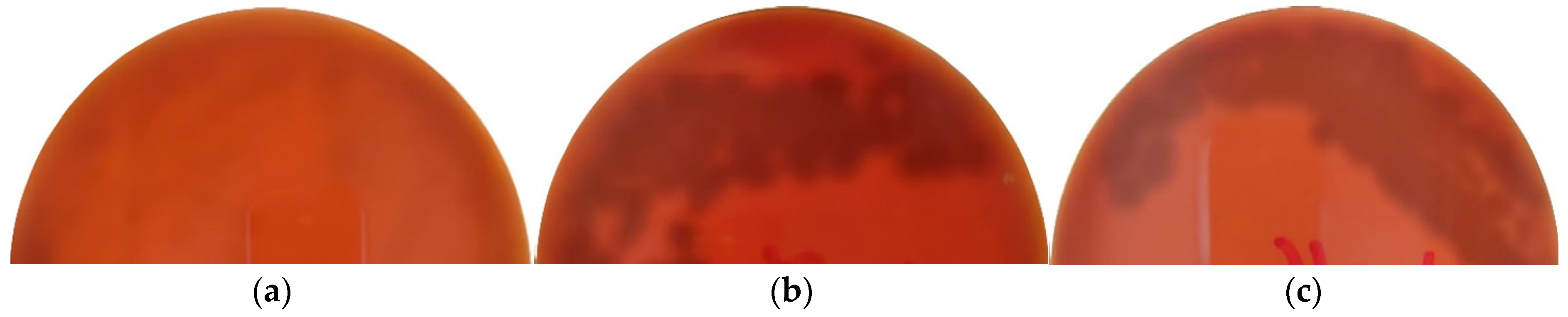 Microorganisms 10 01376 g004