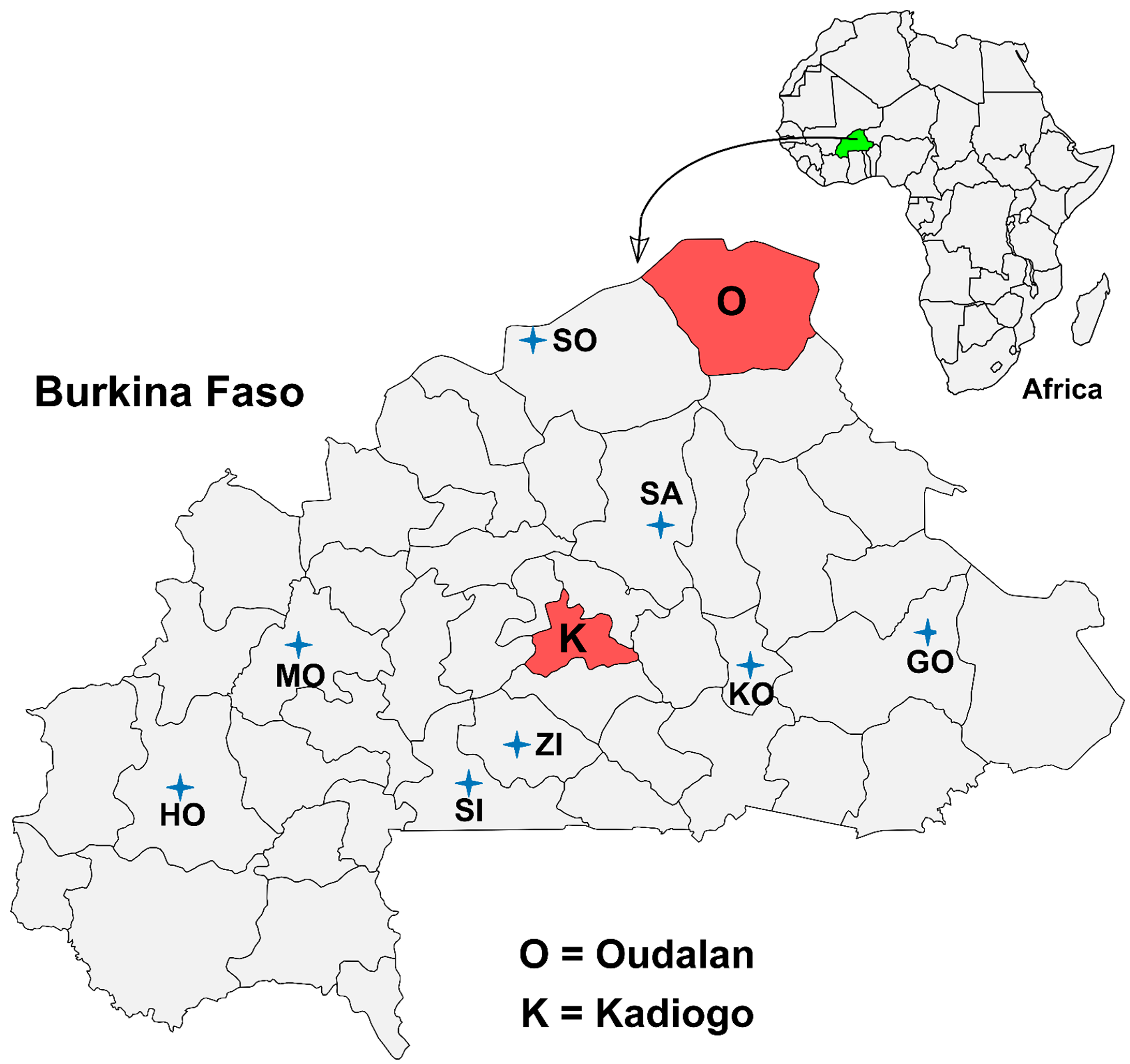 Microorganisms 10 01378 g001