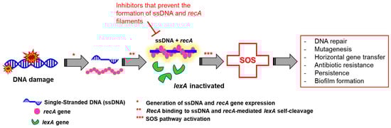 Microorganisms 10 01385 g004