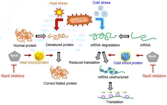 Microorganisms 10 01385 g006