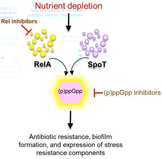 Microorganisms 10 01385 g007