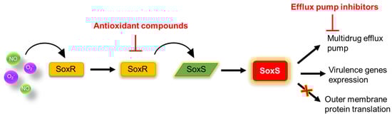 Microorganisms 10 01385 g008