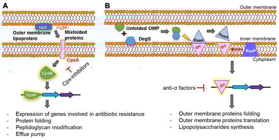 Microorganisms 10 01385 g009