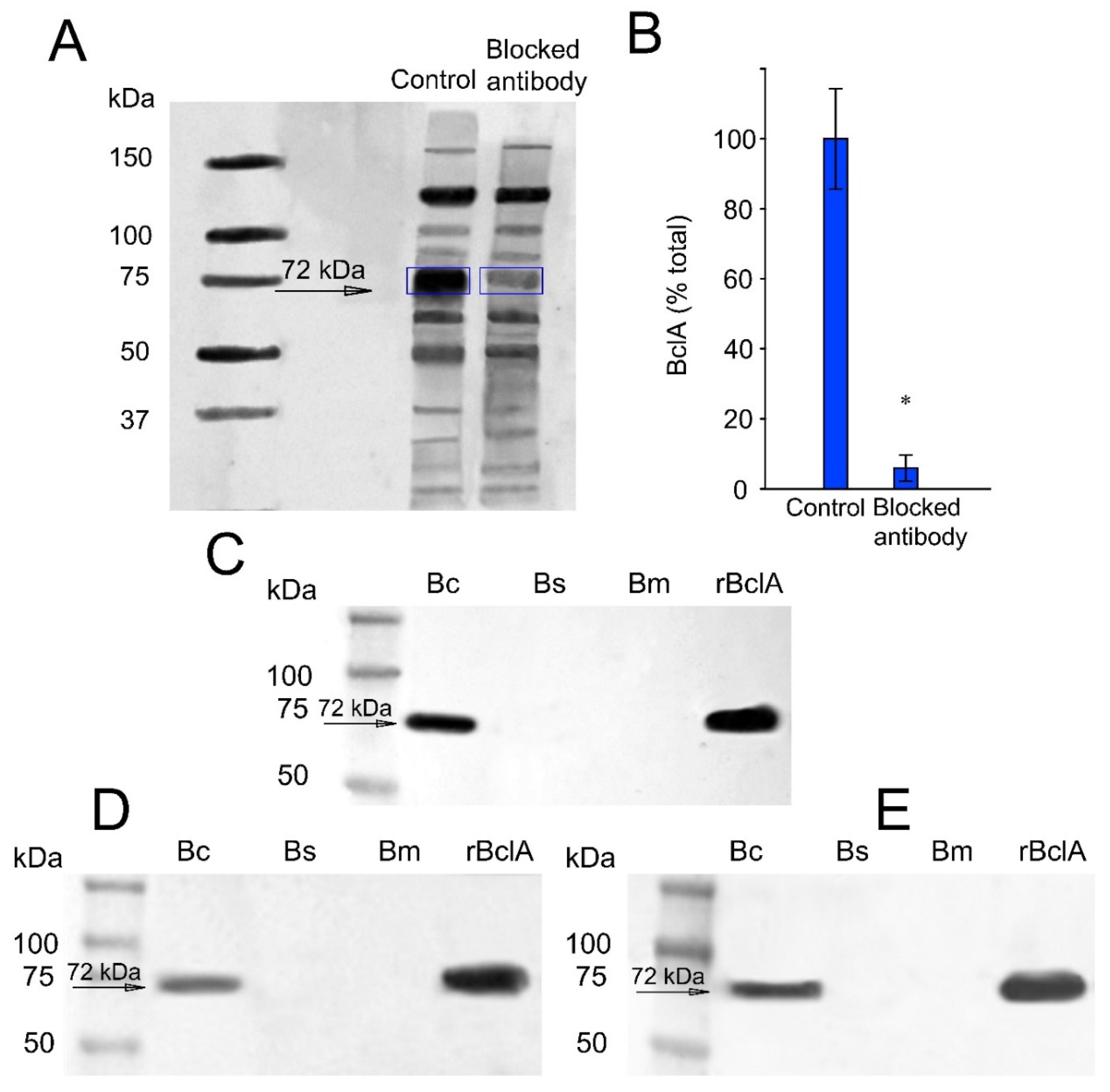 Microorganisms 10 01408 g001 Microorganisms 10 01408 g001