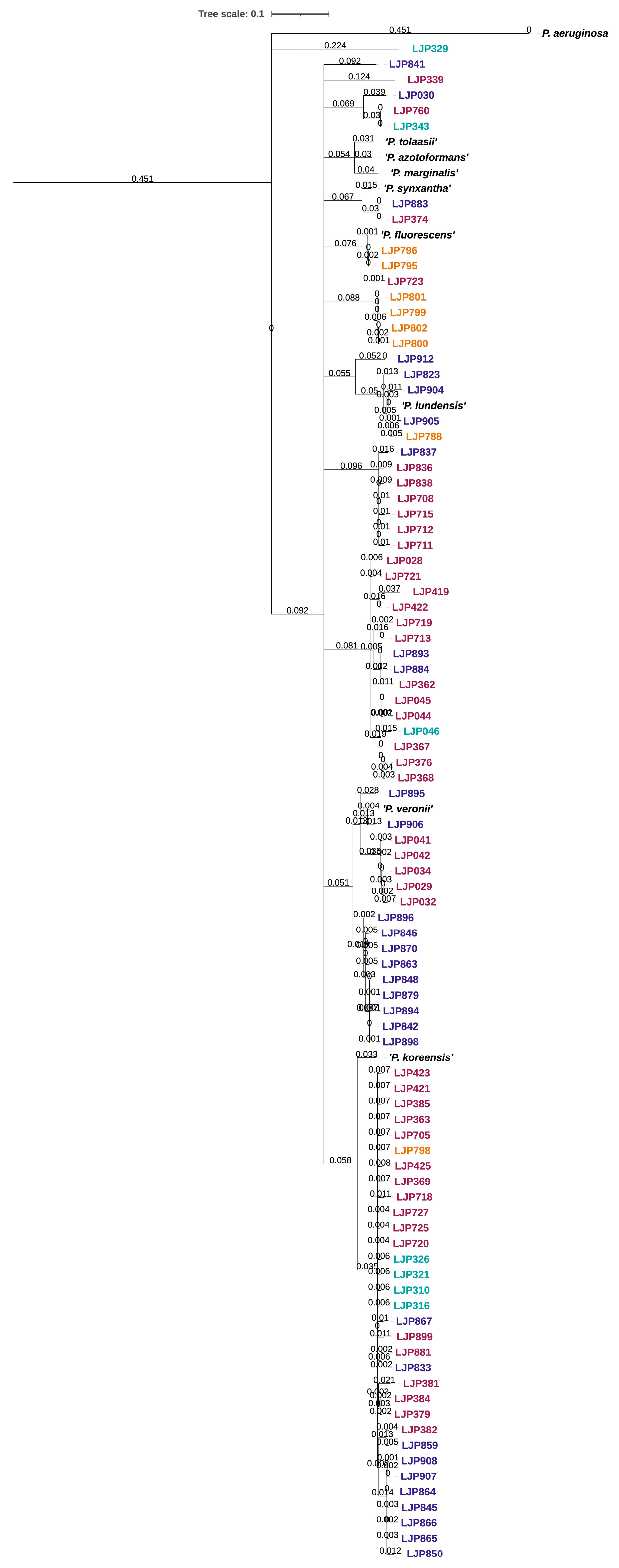 Microorganisms 10 01420 g001