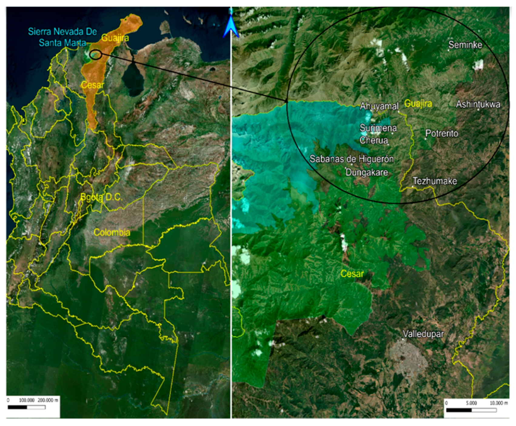 Microorganisms 10 01427 g001