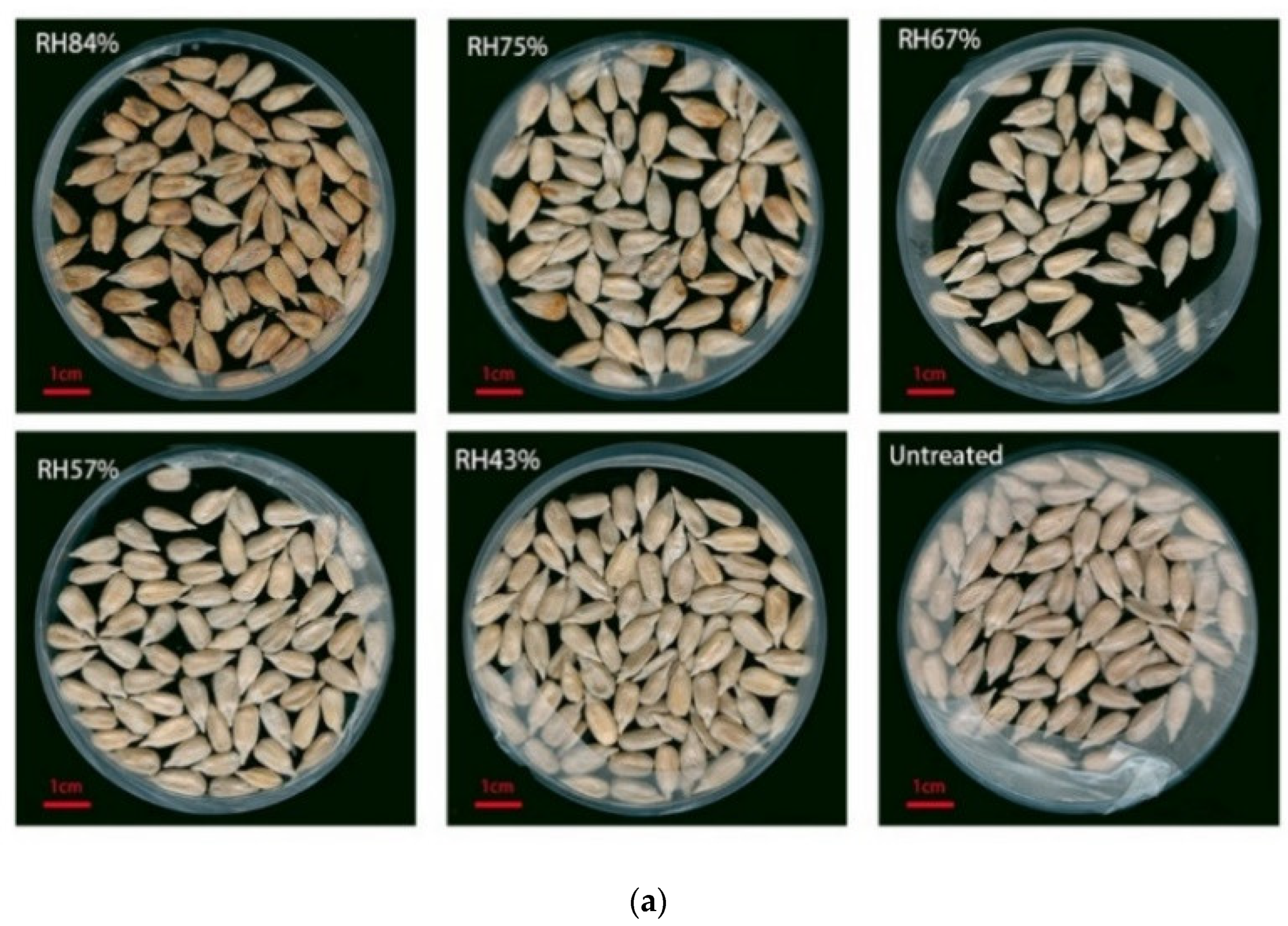 Microorganisms 10 01434 g009a