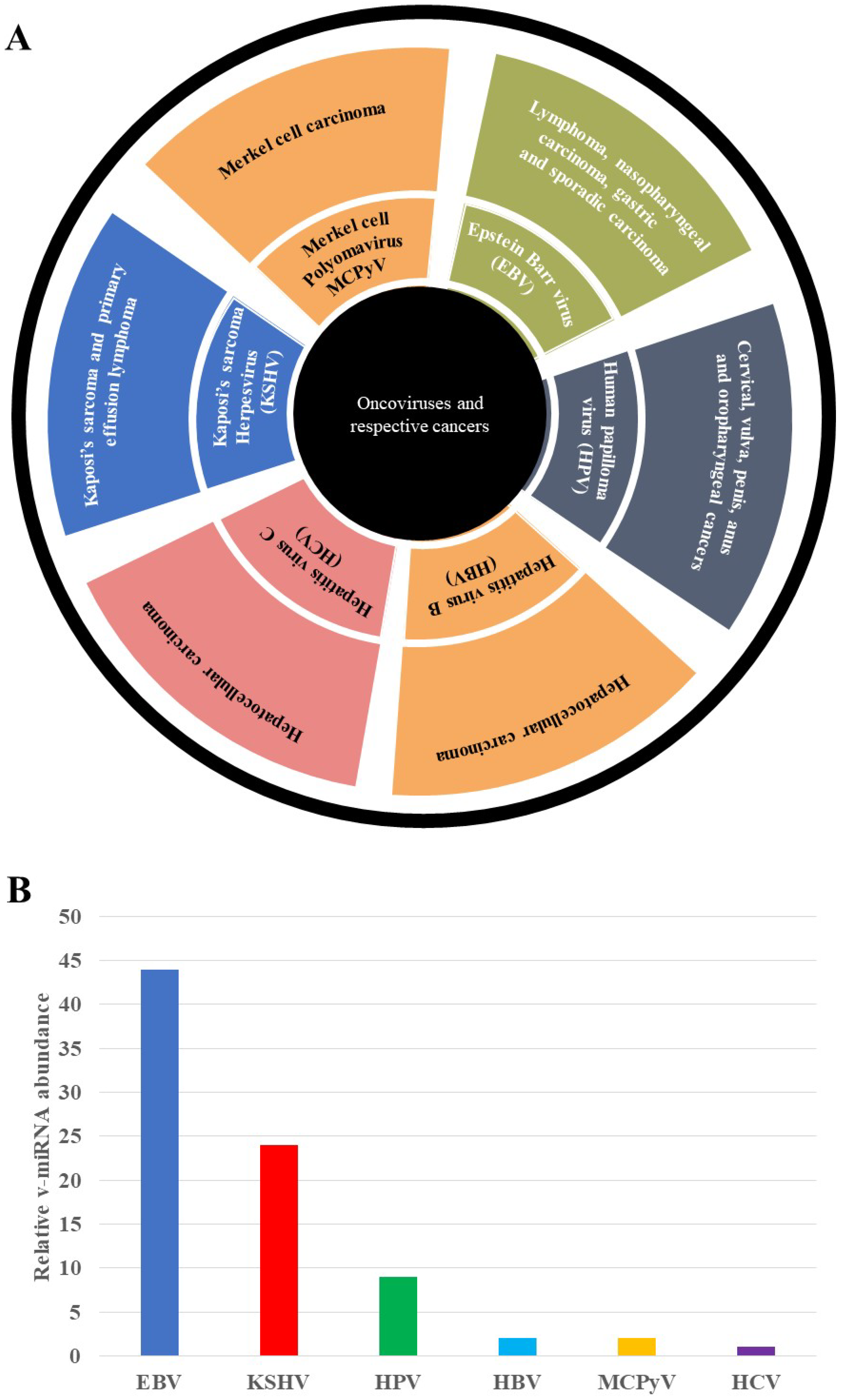 Microorganisms 10 01448 g001