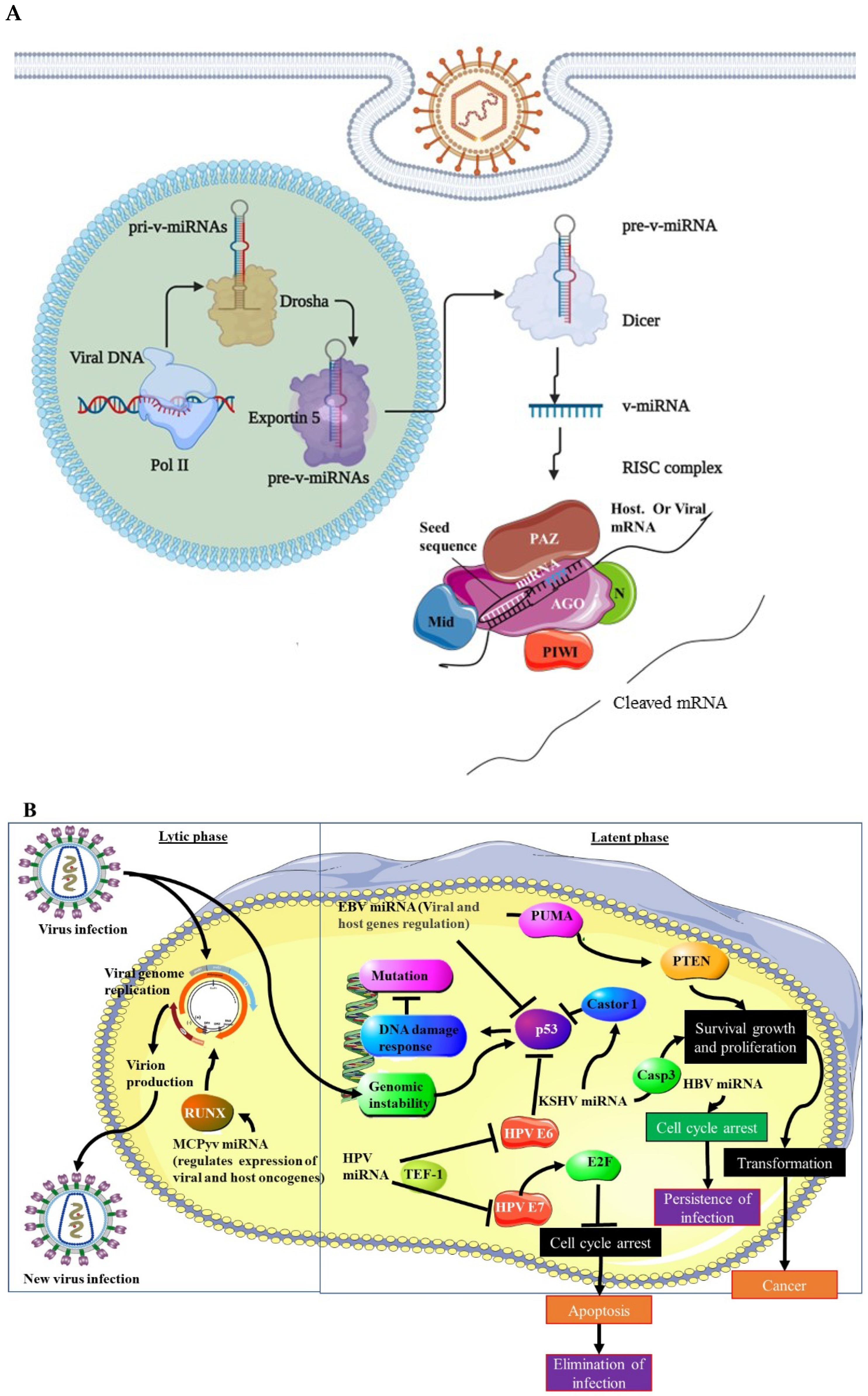 Microorganisms 10 01448 g002