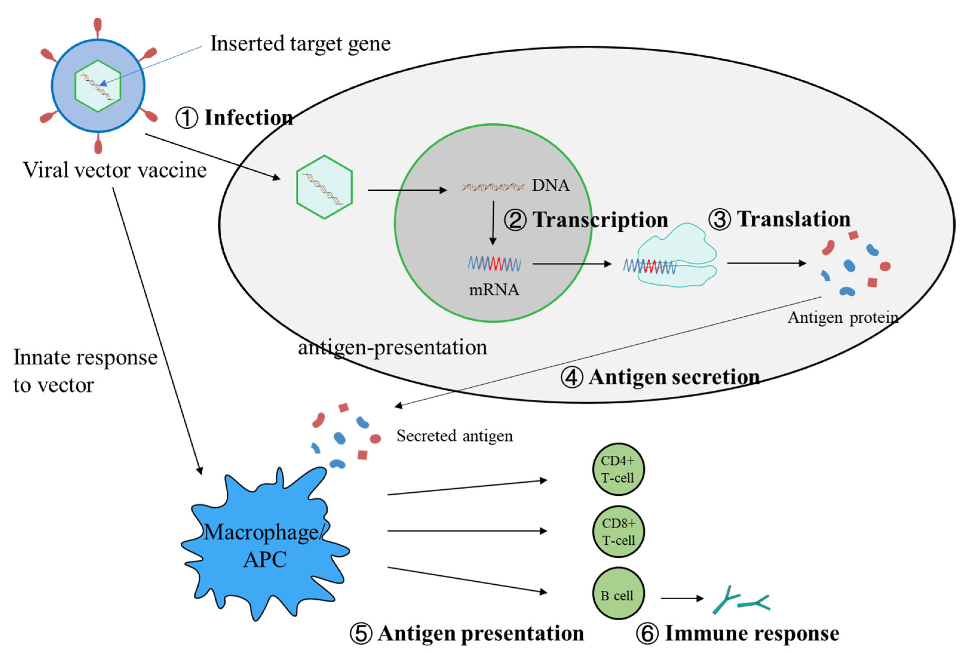 Microorganisms 10 01450 g002