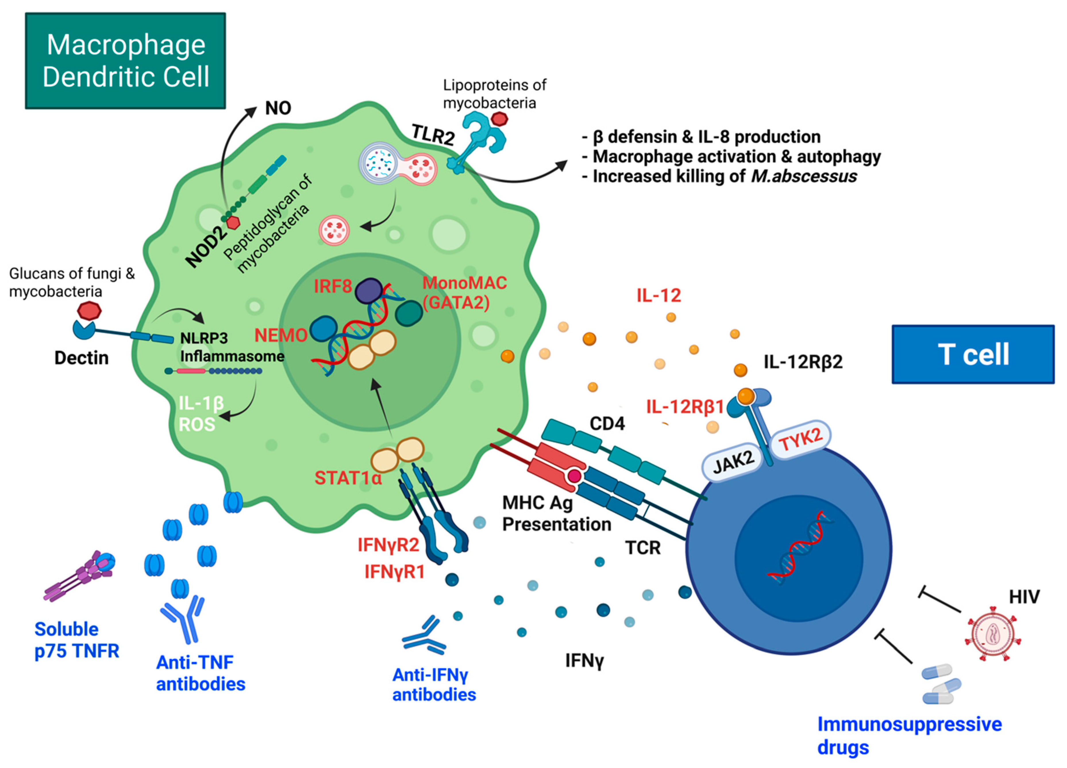 Microorganisms 10 01454 g002