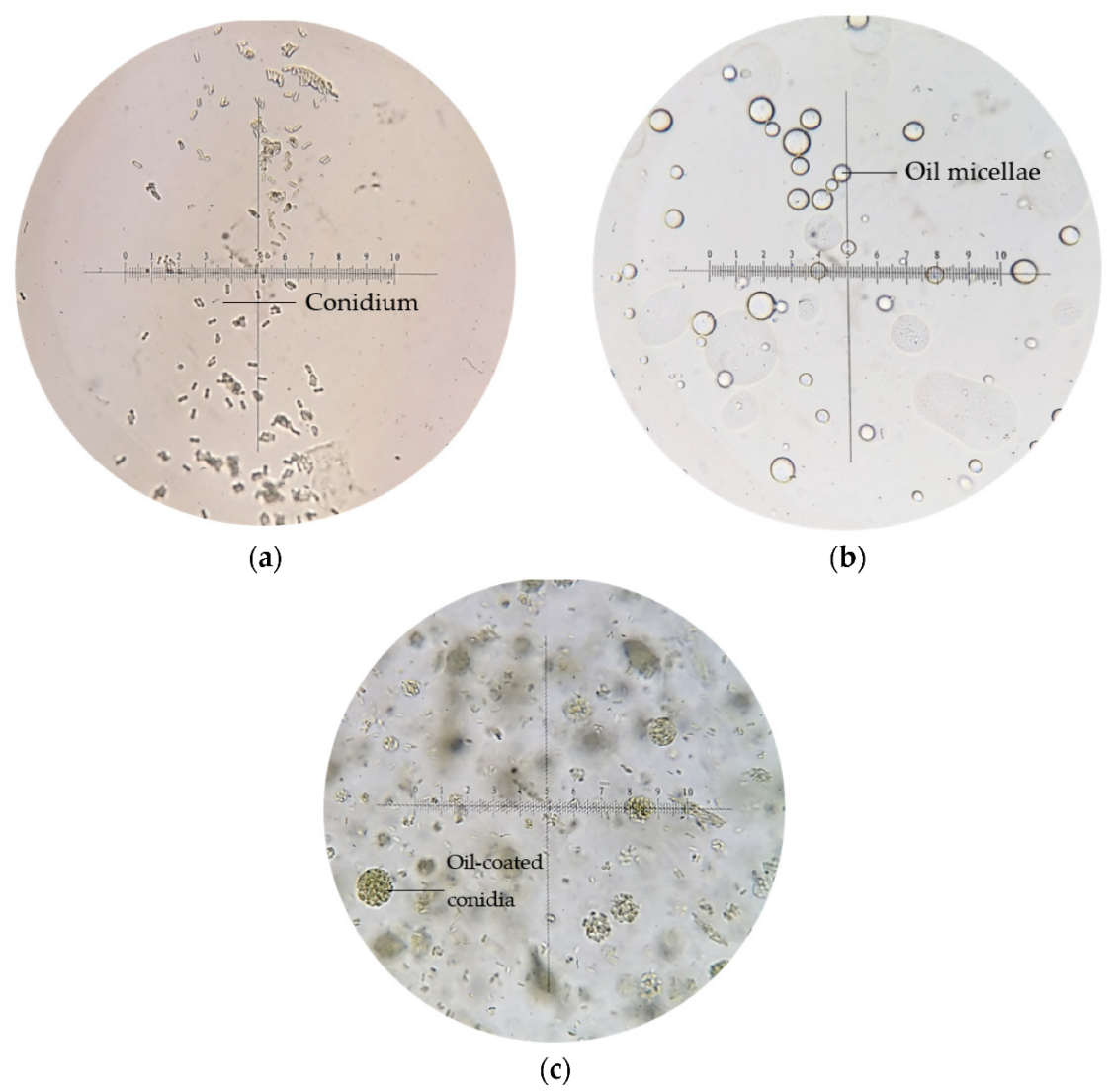 Microorganisms 10 01460 g005
