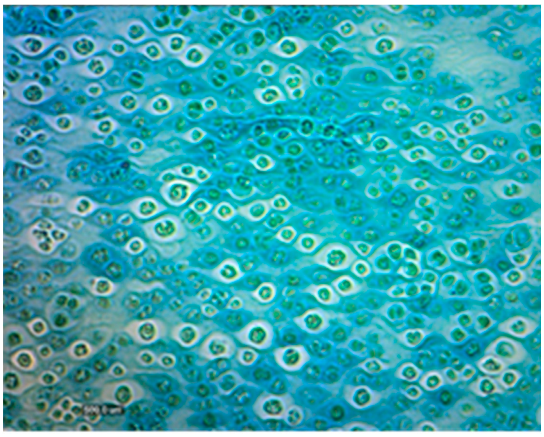 Microorganisms 10 01473 g008 Microorganisms 10 01473 g008