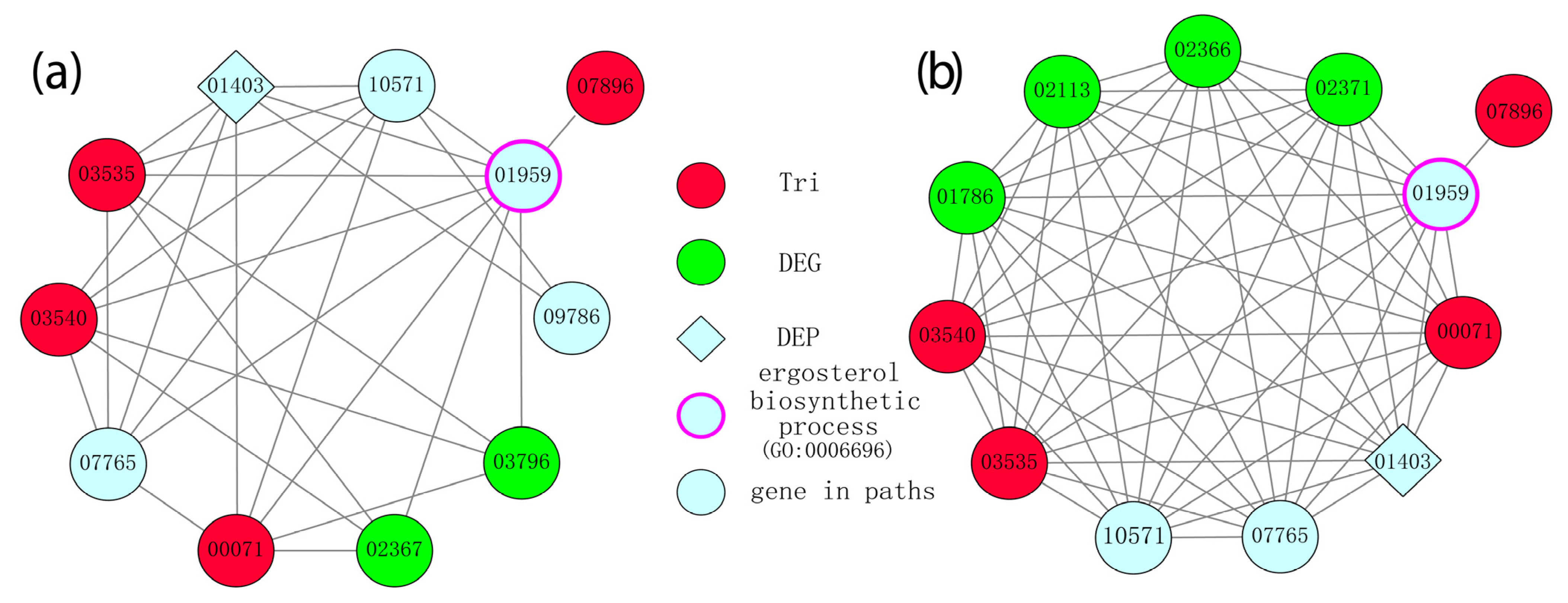 Microorganisms 10 01479 g006
