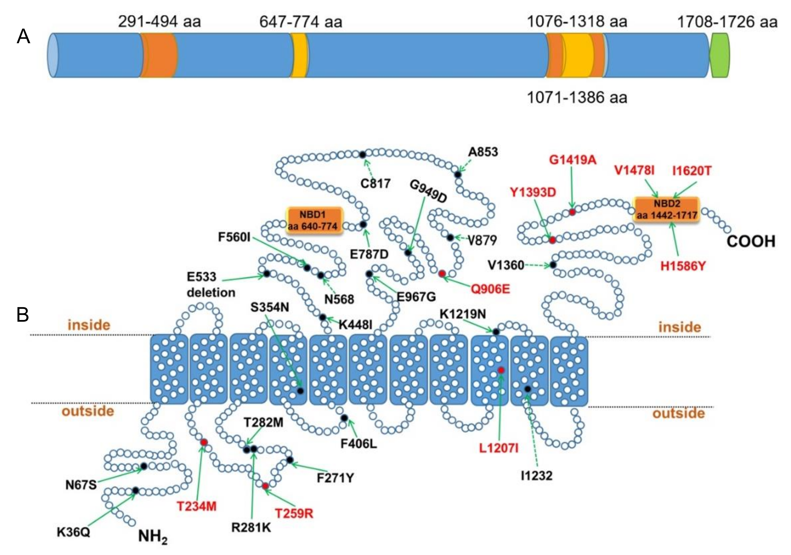 Microorganisms 10 01482 g001 Microorganisms 10 01482 g001