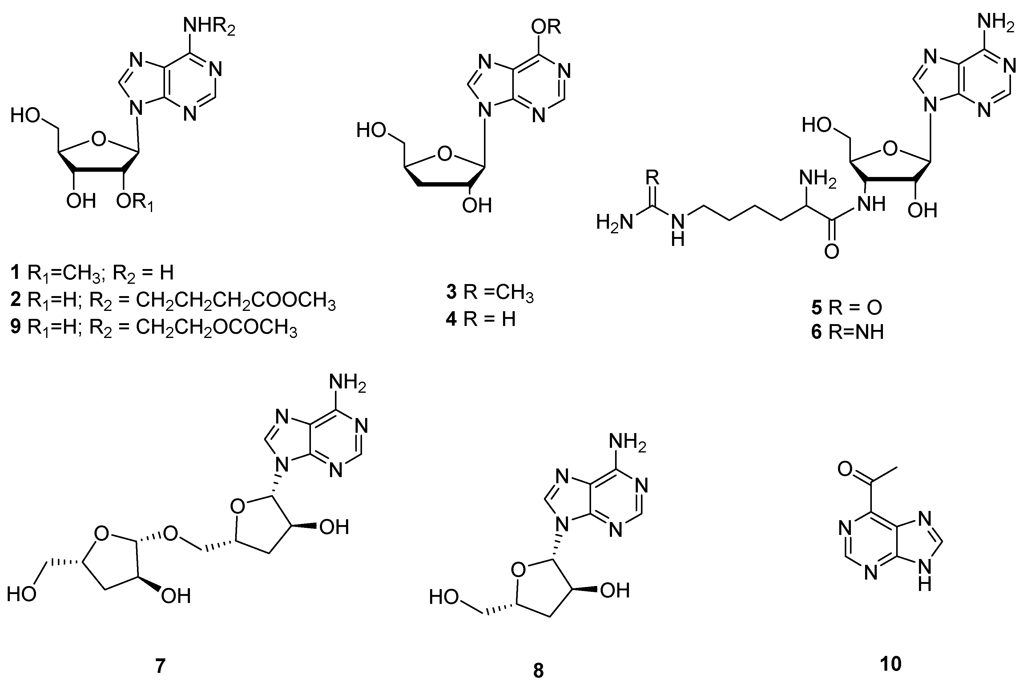 Microorganisms 10 01489 g001