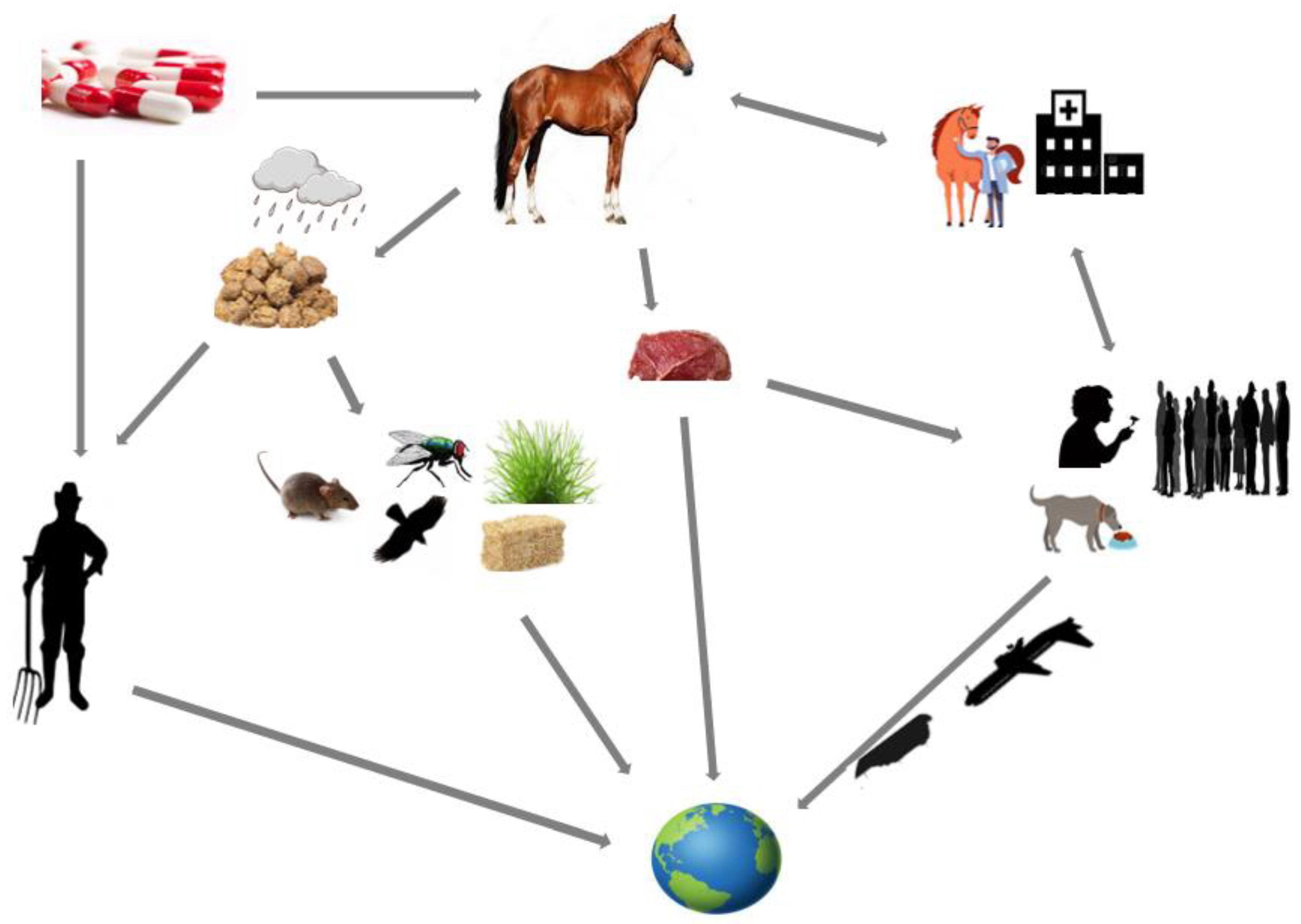 Microorganisms 10 01499 g001