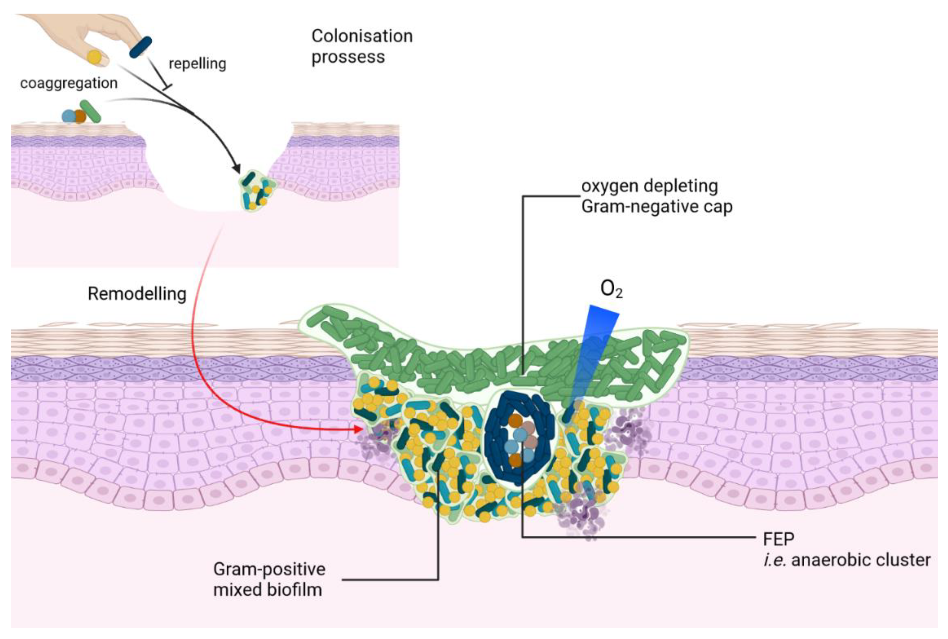 Microorganisms 10 01500 g001