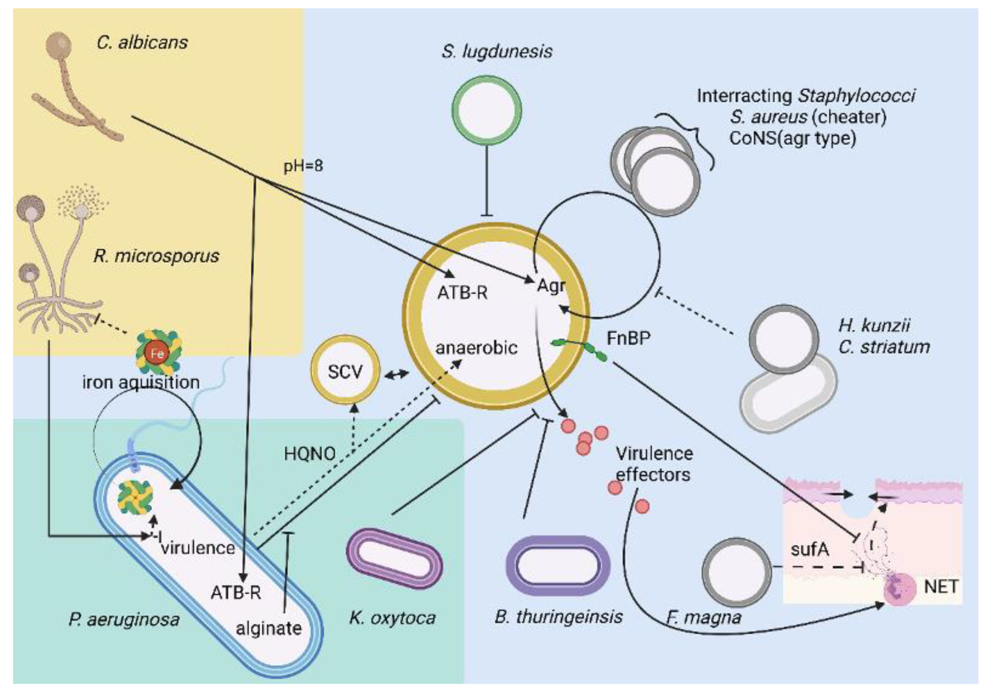 Microorganisms 10 01500 g002