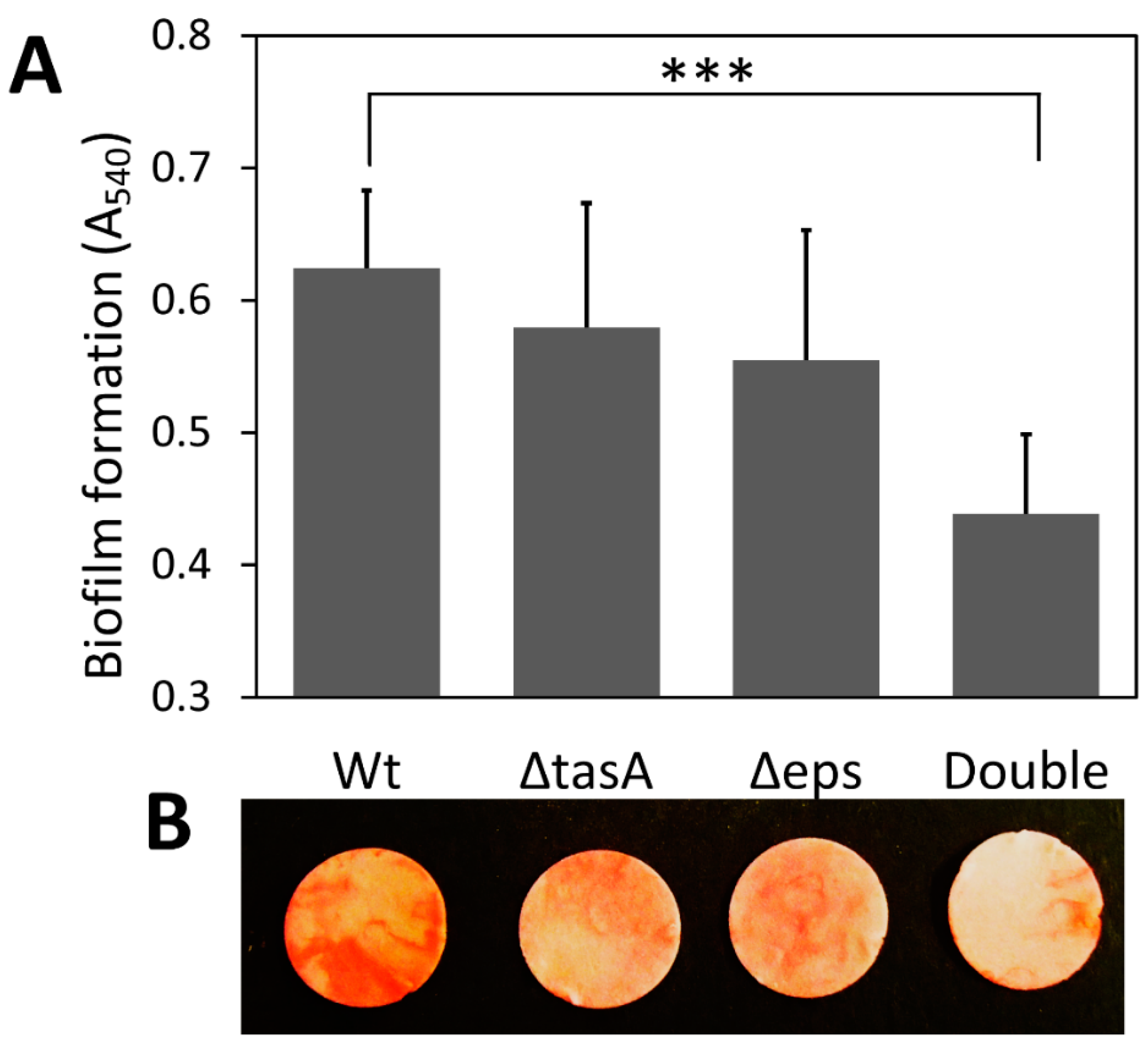 Microorganisms 10 01505 g001