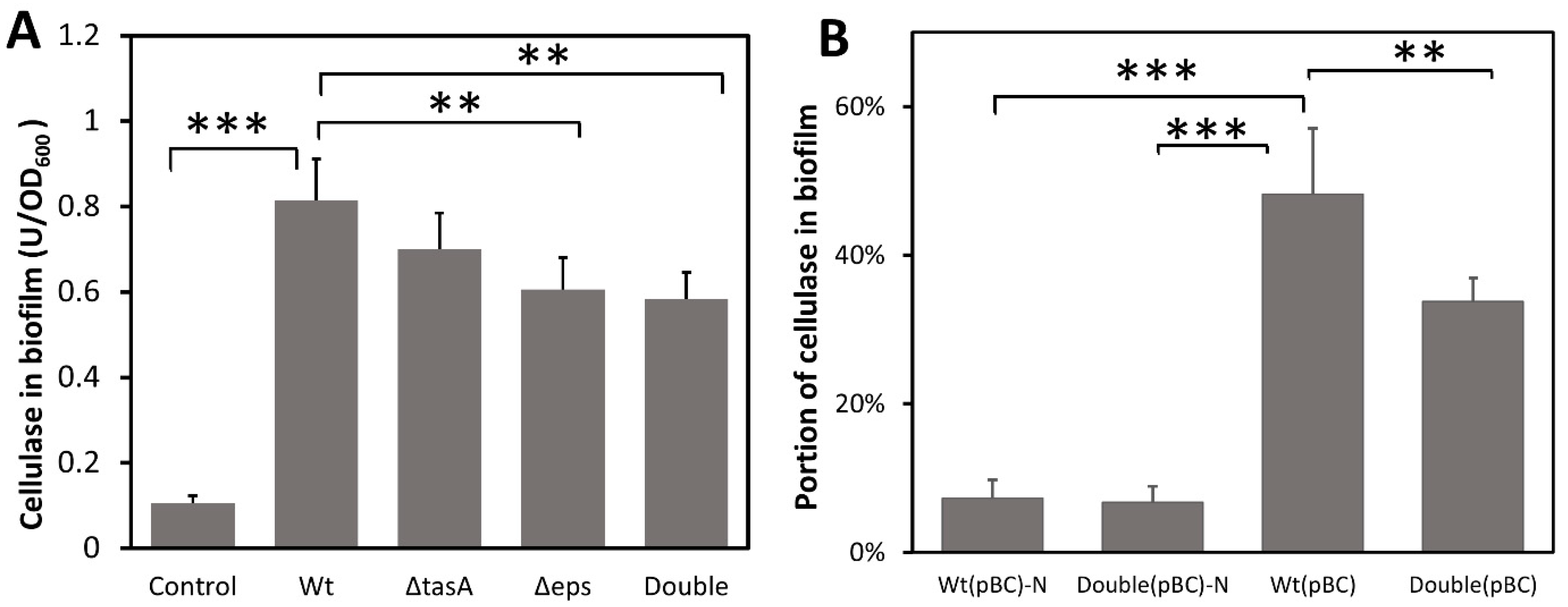Microorganisms 10 01505 g002
