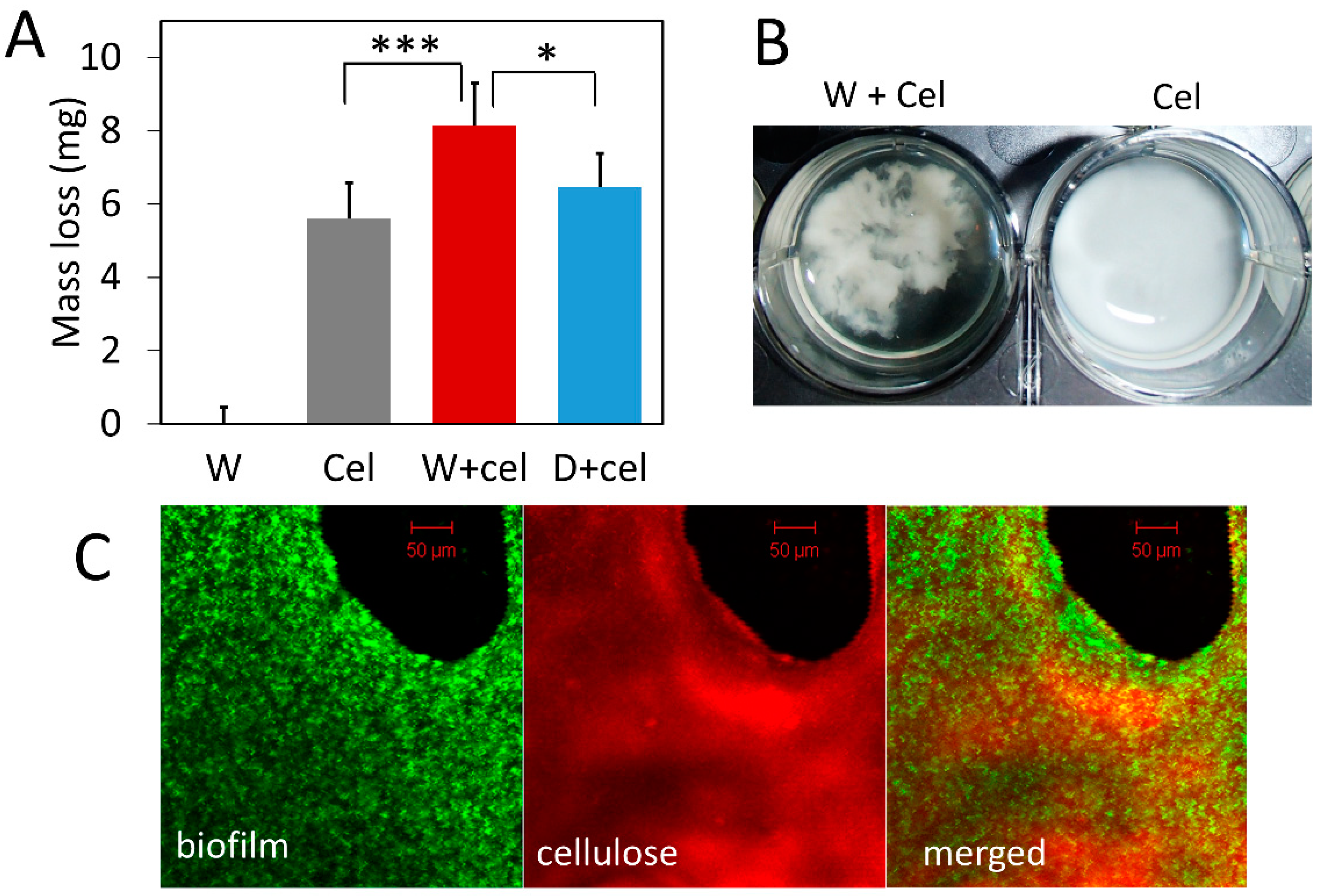 Microorganisms 10 01505 g003