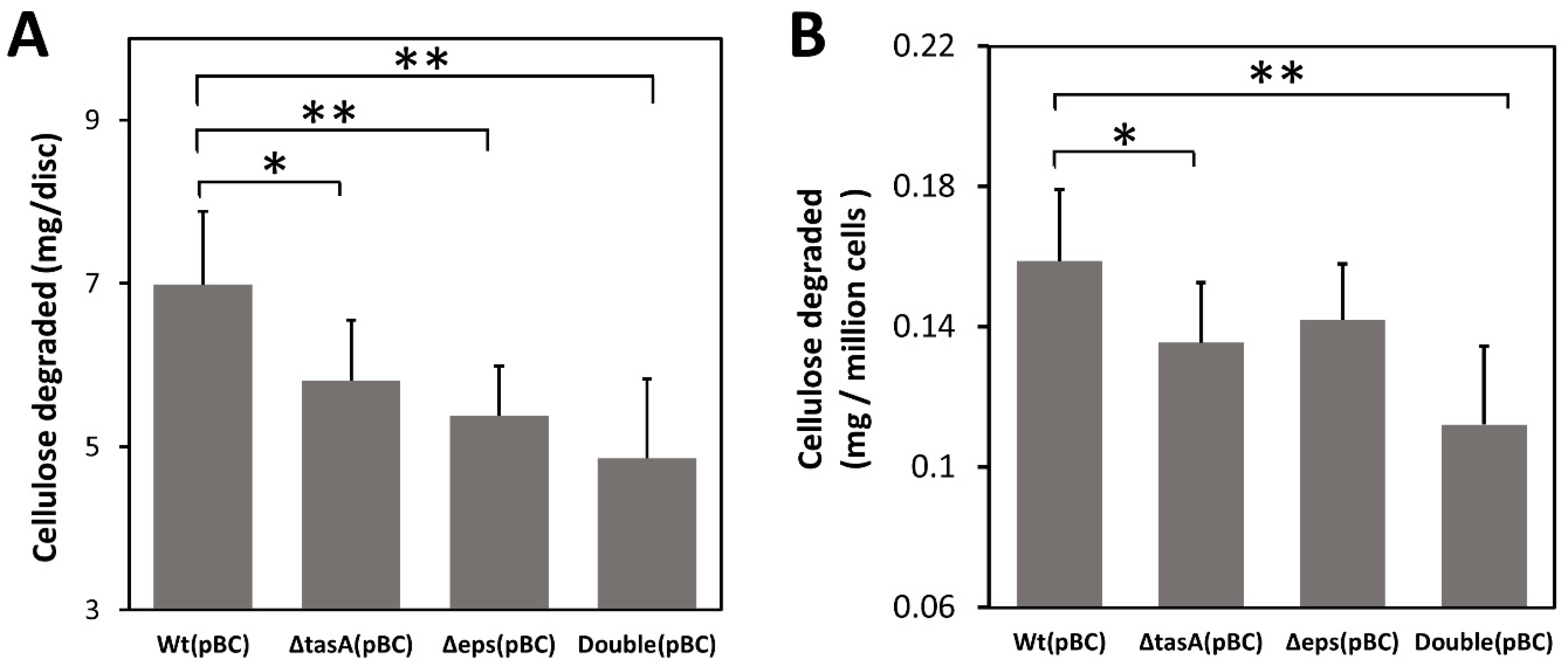 Microorganisms 10 01505 g004