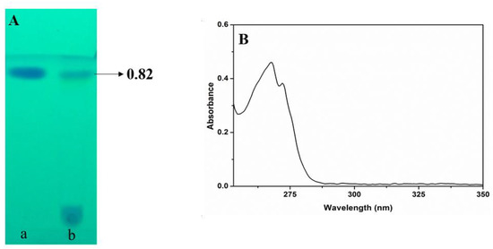 Microorganisms 10 01508 g005a